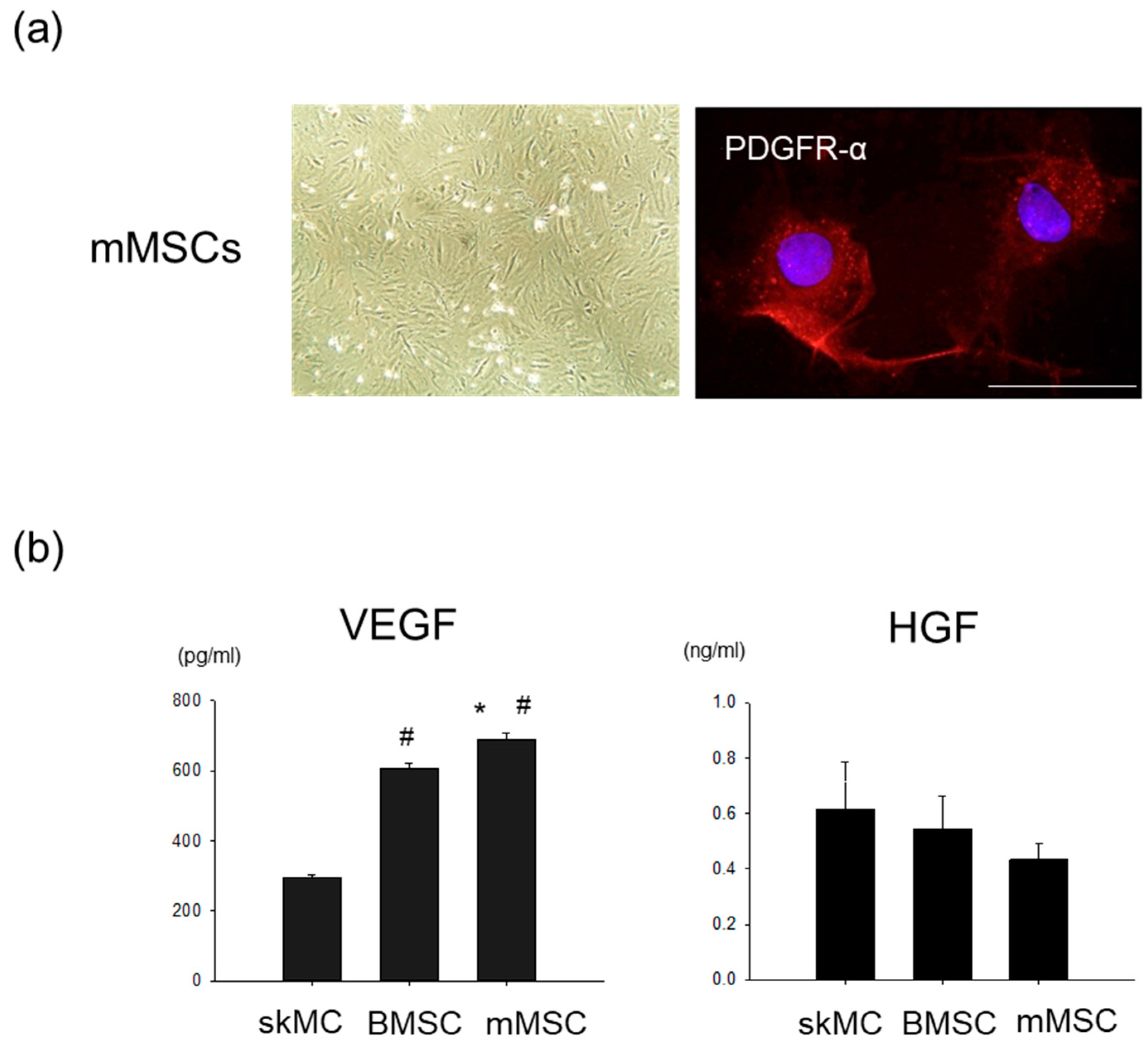 Pharmaceutics 15 01049 g001 Pharmaceutics 15 01049 g001