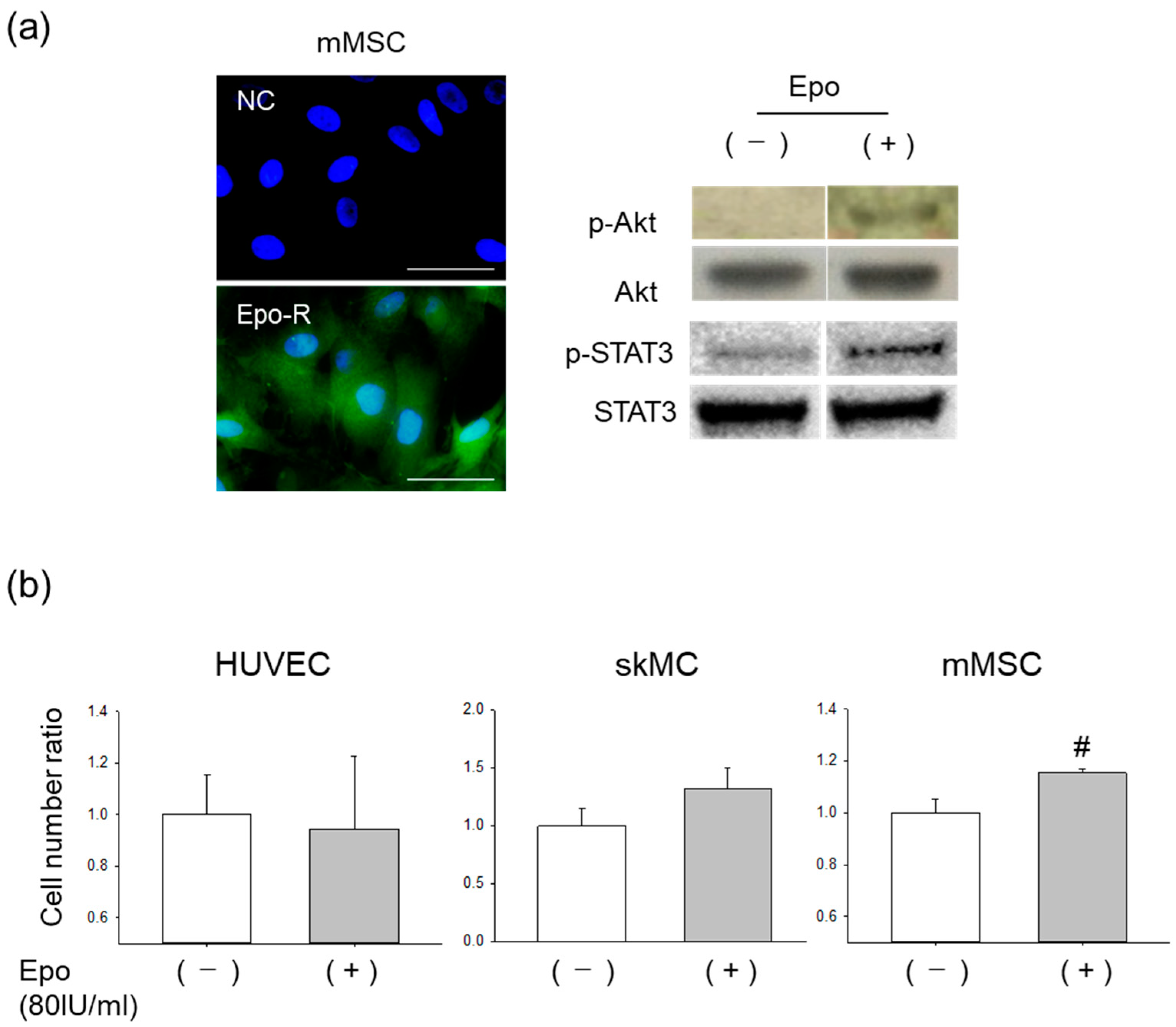 Pharmaceutics 15 01049 g003 Pharmaceutics 15 01049 g003