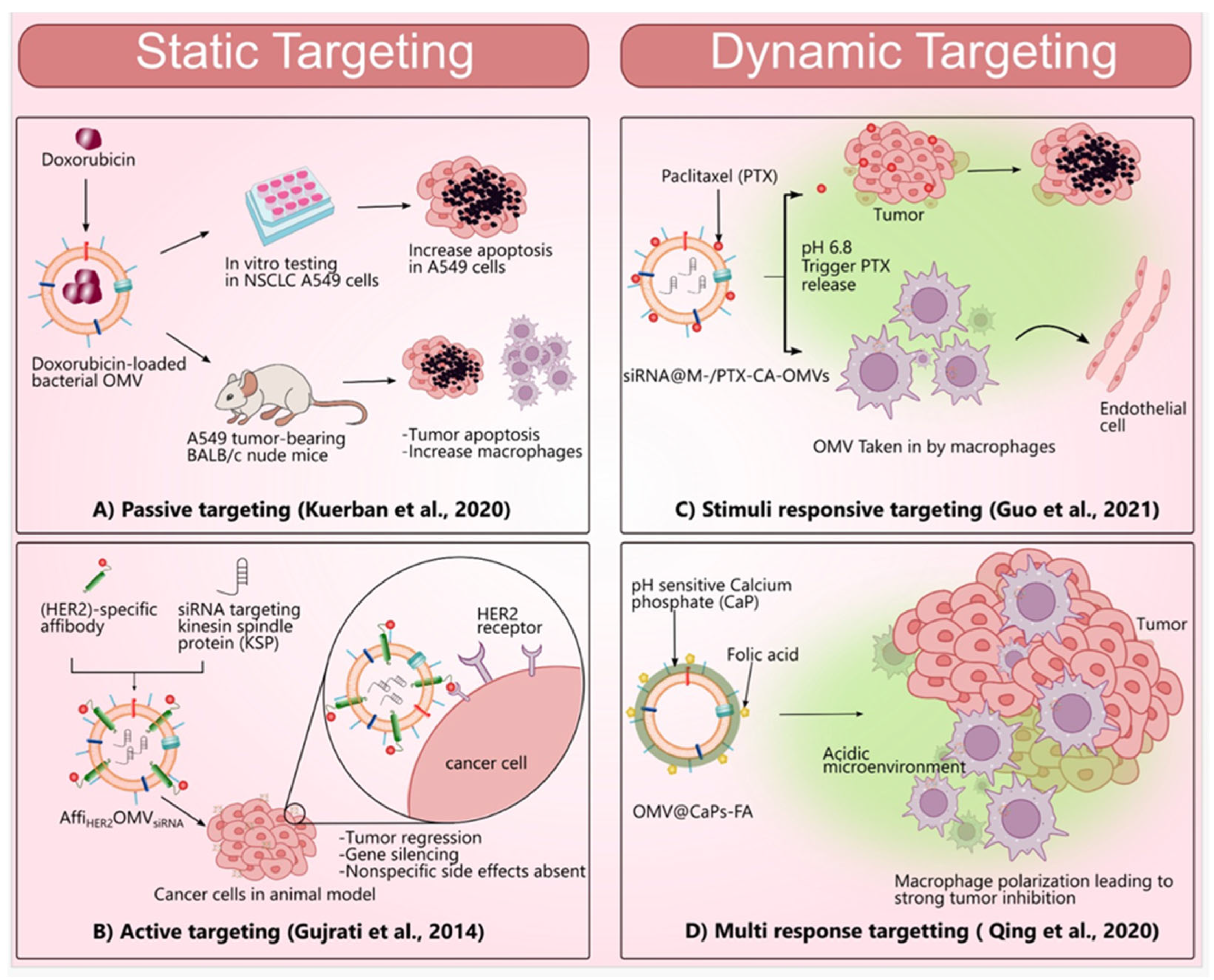 Pharmaceutics 15 01052 g003