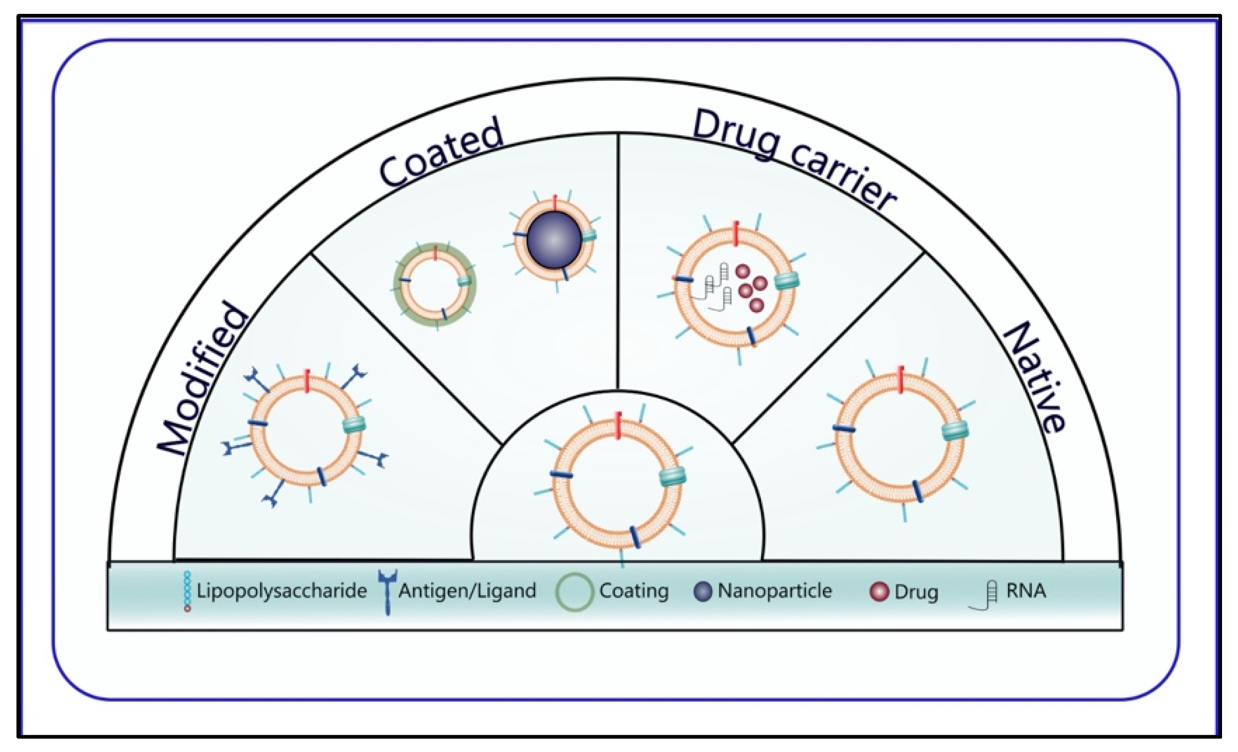 Pharmaceutics 15 01052 g004 Pharmaceutics 15 01052 g004
