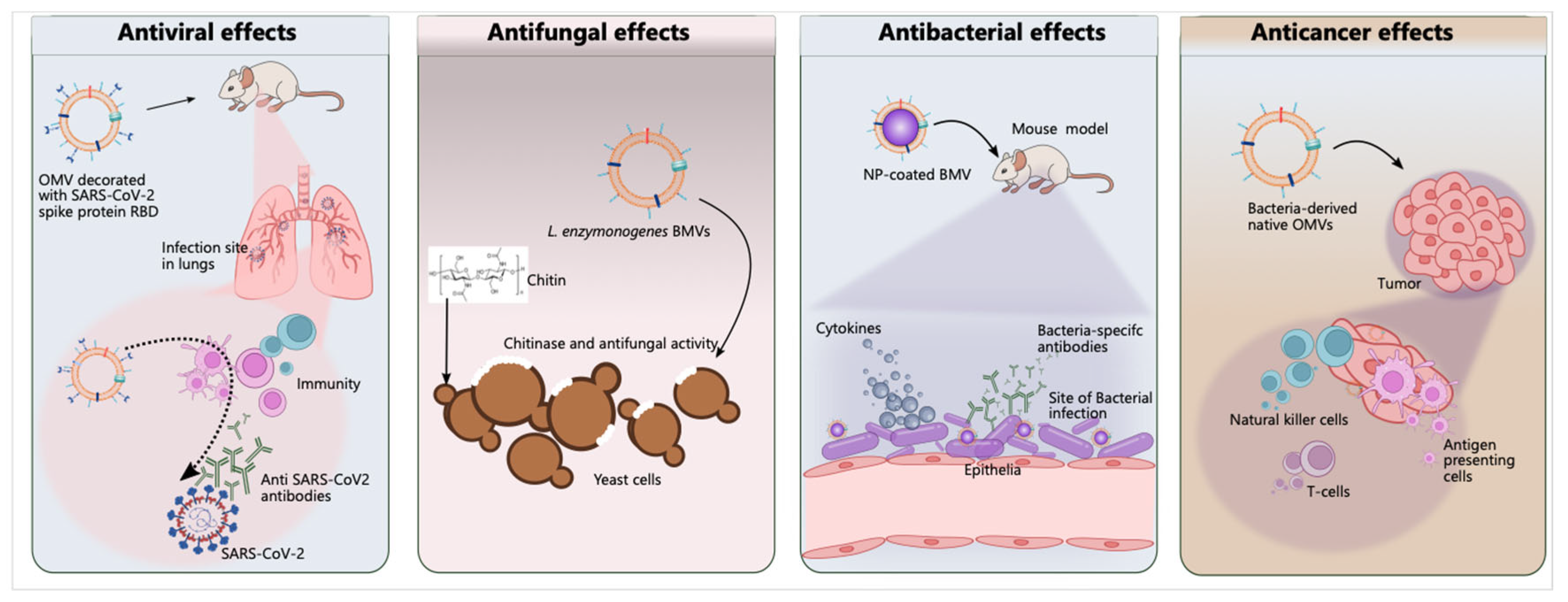 Pharmaceutics 15 01052 g005 Pharmaceutics 15 01052 g005