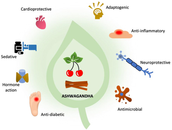 Image result for Why Is Ashwagandha Hailed A Super Herb? infographics
