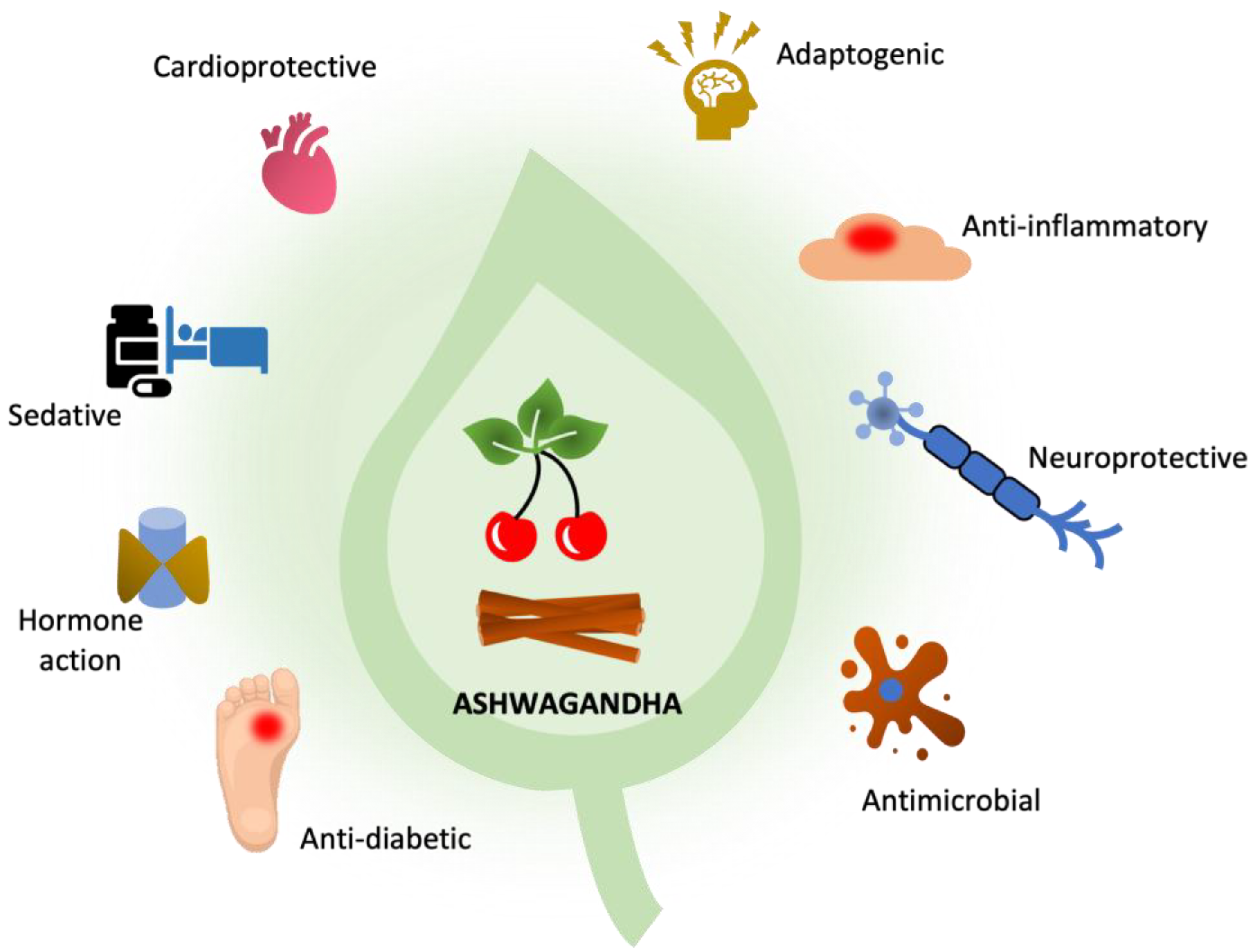 Pharmaceutics Free Full-Text Ashwagandha (Withania somnifera)andmdash;Current Research on the Health-Promoting Activities A Narrative Review pic image