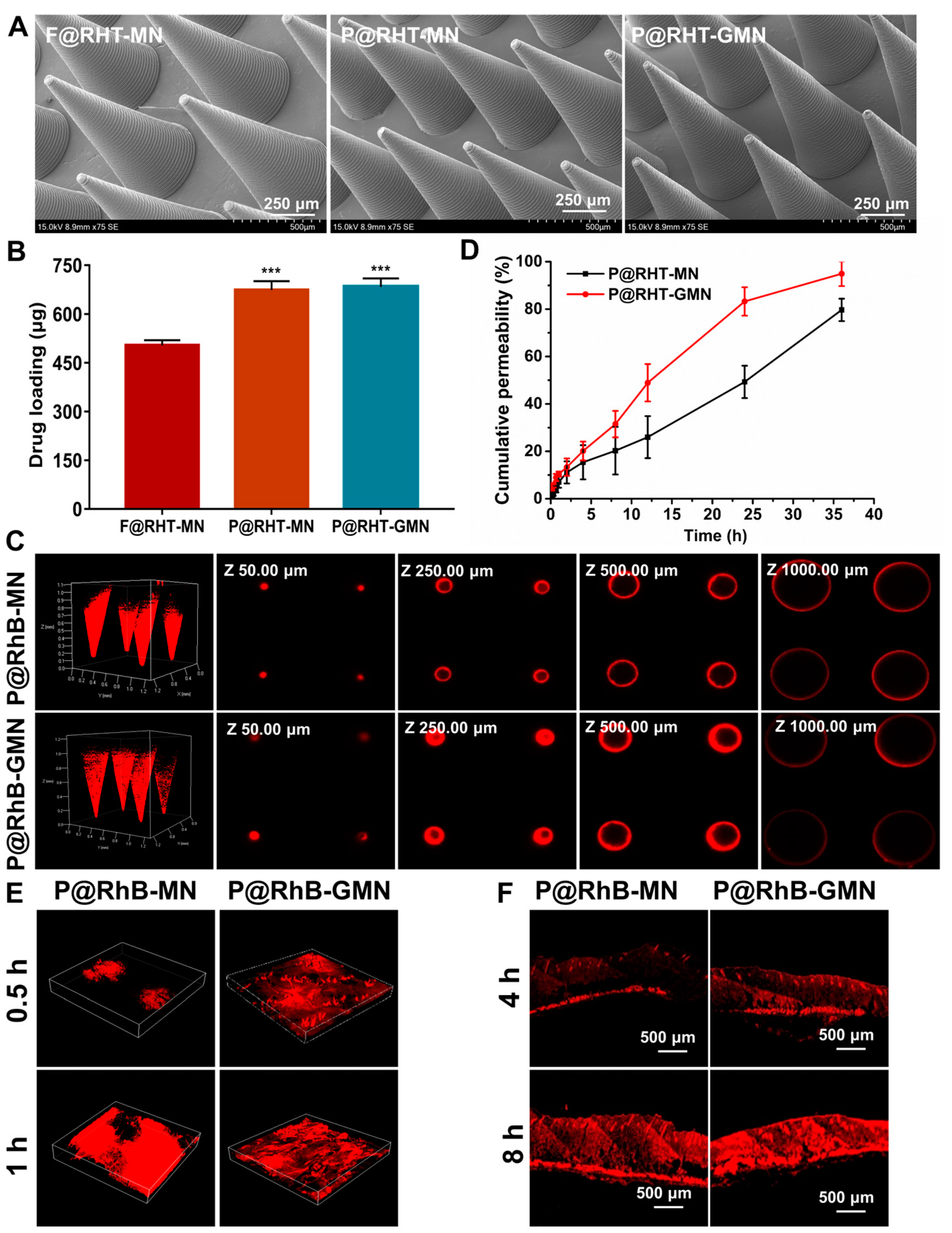 Pharmaceutics 15 01059 g009