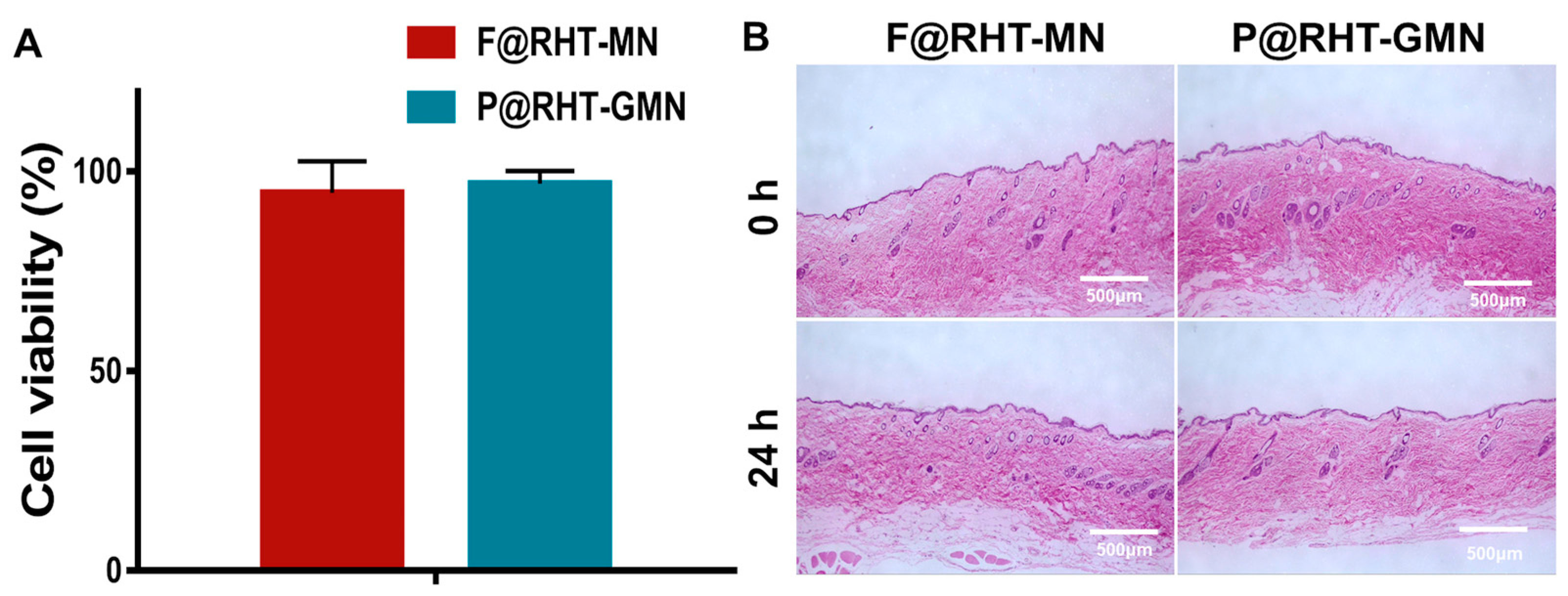 Pharmaceutics 15 01059 g010
