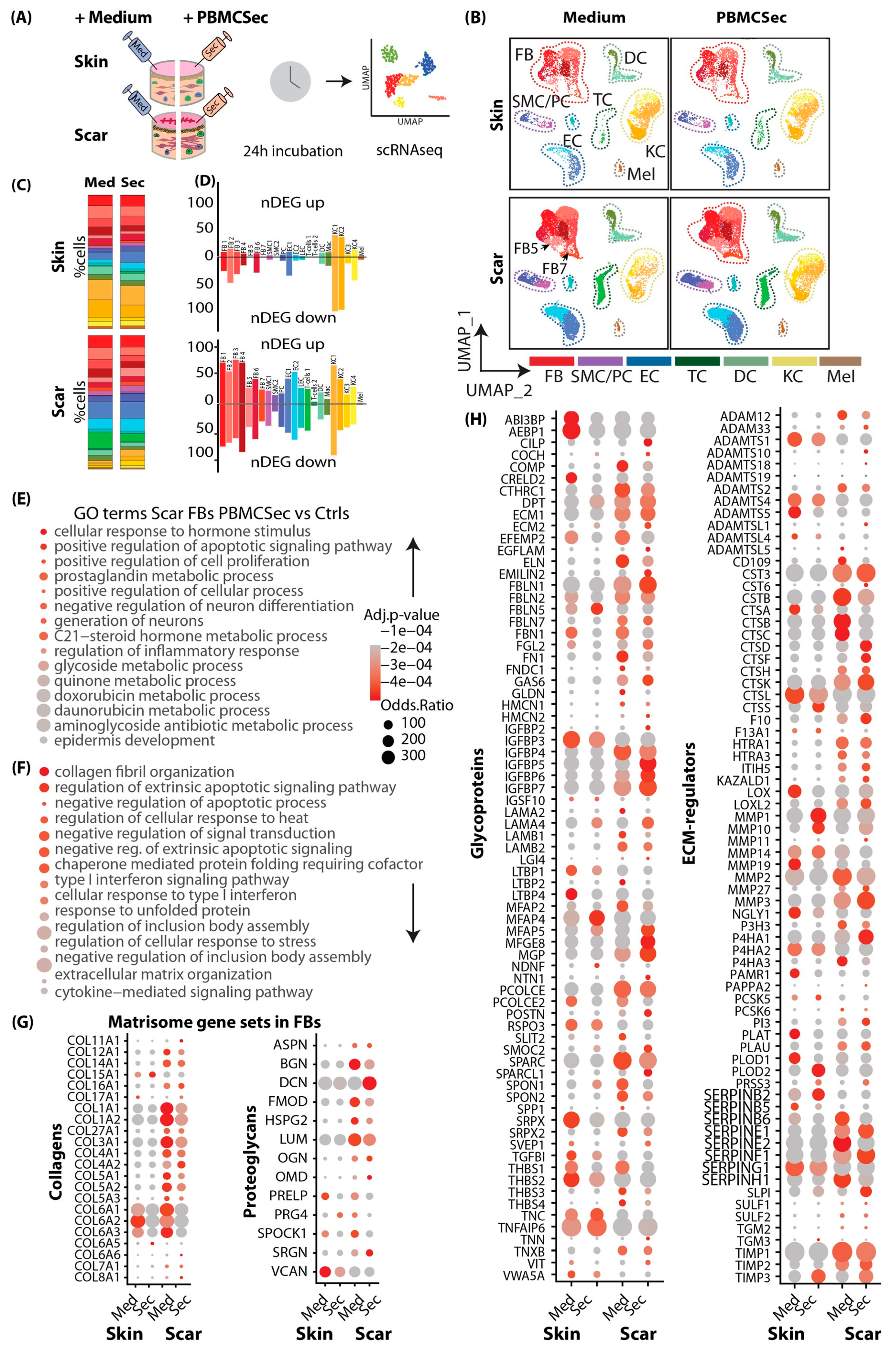 Pharmaceutics 15 01065 g004