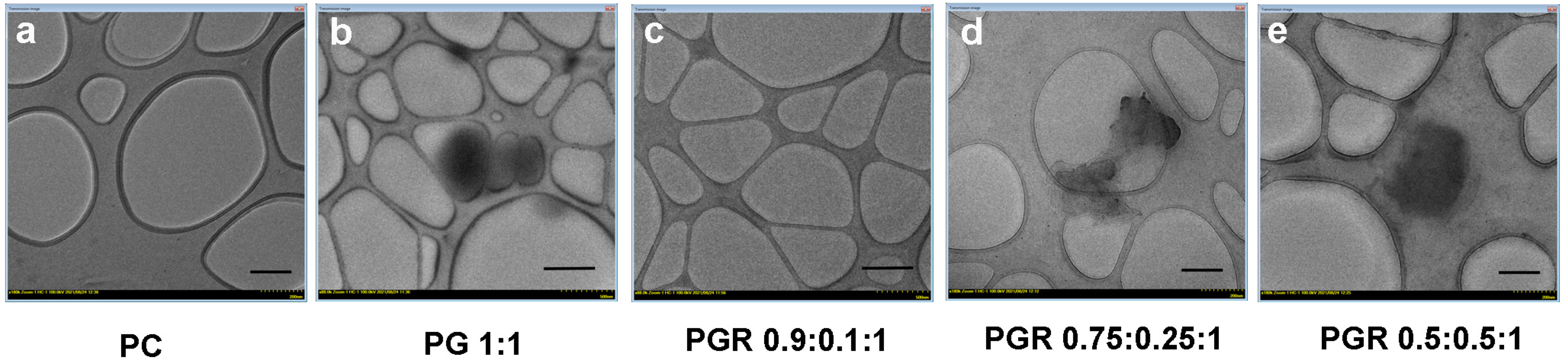 Pharmaceutics 15 01066 g001 Pharmaceutics 15 01066 g001