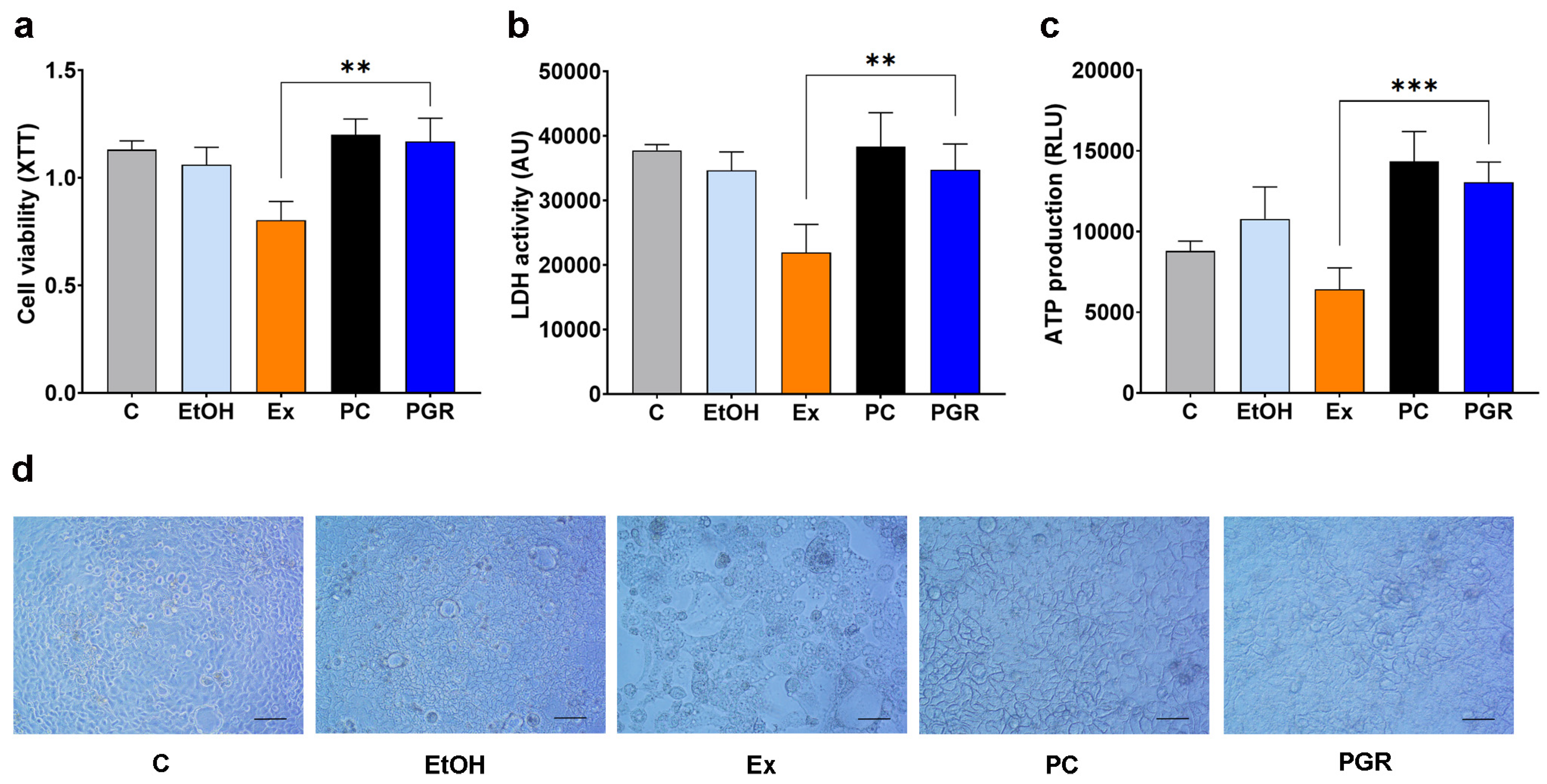 Pharmaceutics 15 01066 g005 Pharmaceutics 15 01066 g005
