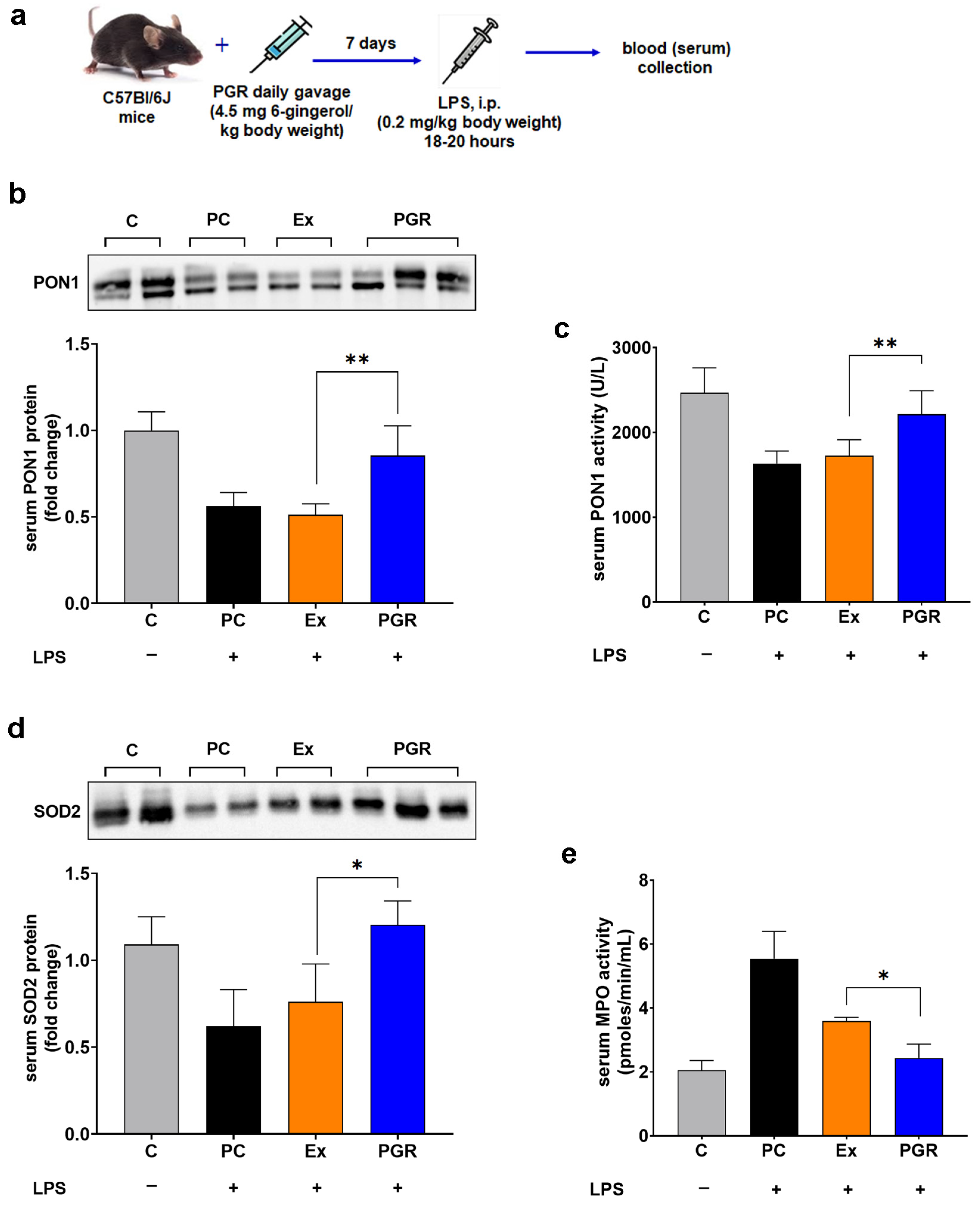 Pharmaceutics 15 01066 g007 Pharmaceutics 15 01066 g007