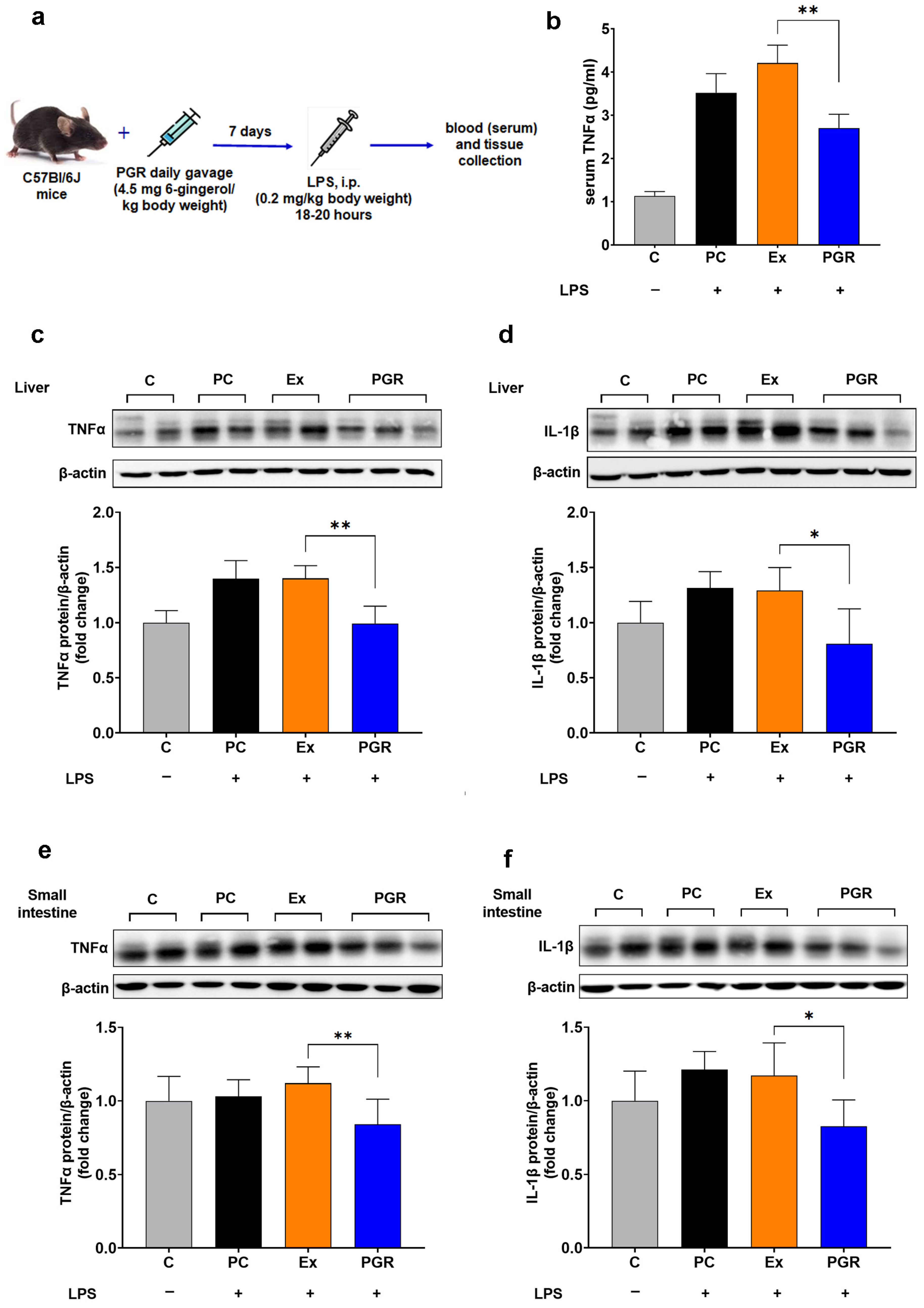 Pharmaceutics 15 01066 g008 Pharmaceutics 15 01066 g008