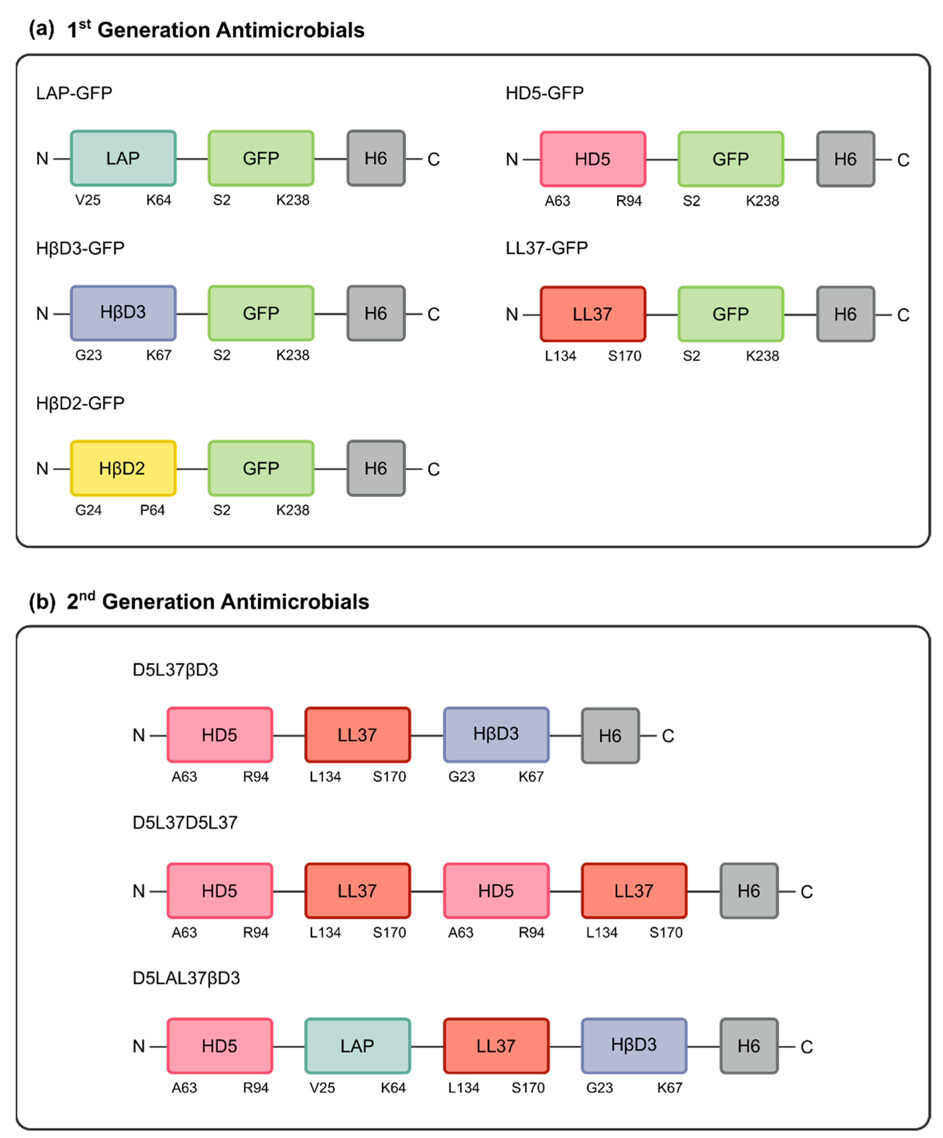 Pharmaceutics 15 01068 g002