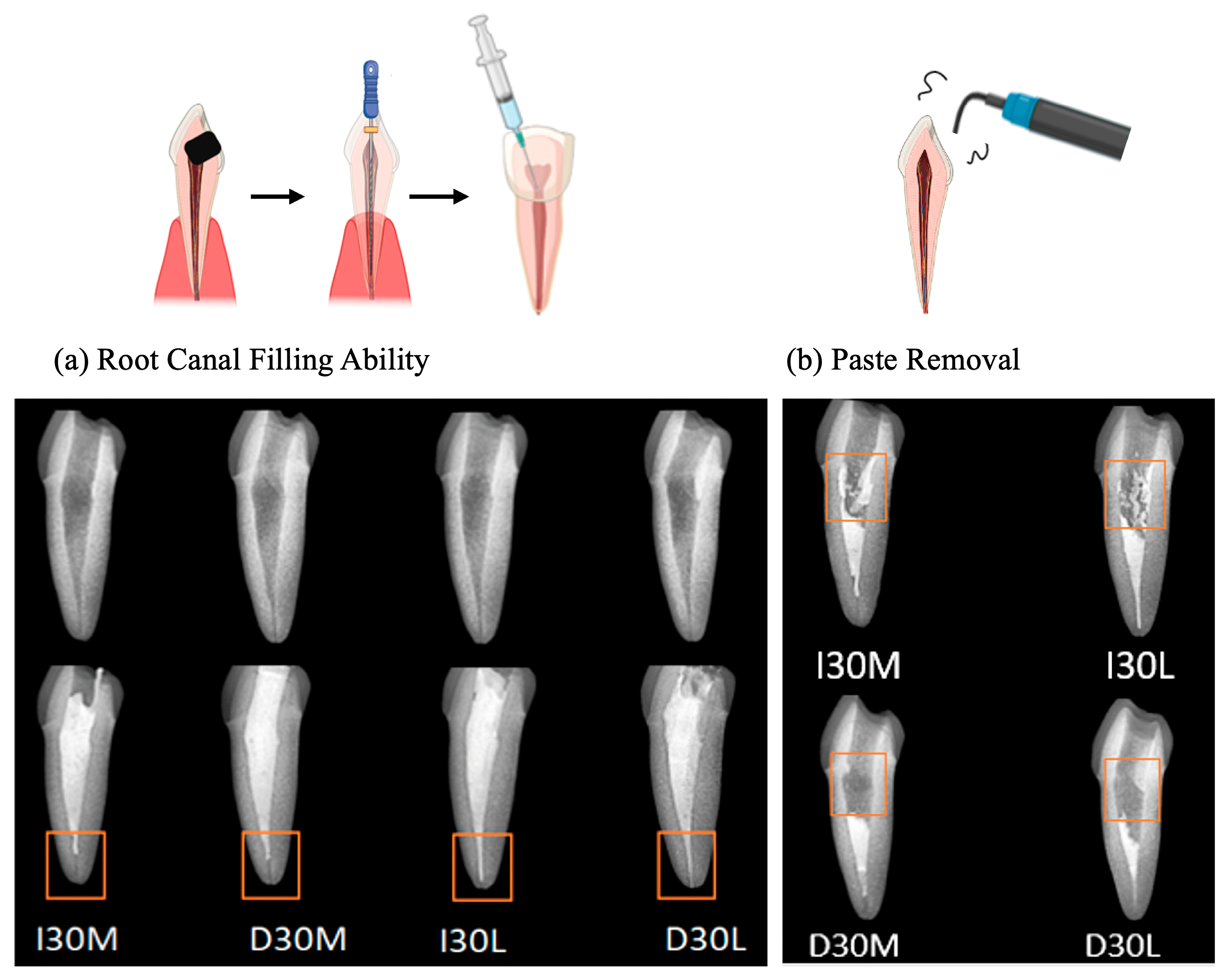 Pharmaceutics 15 01072 g003