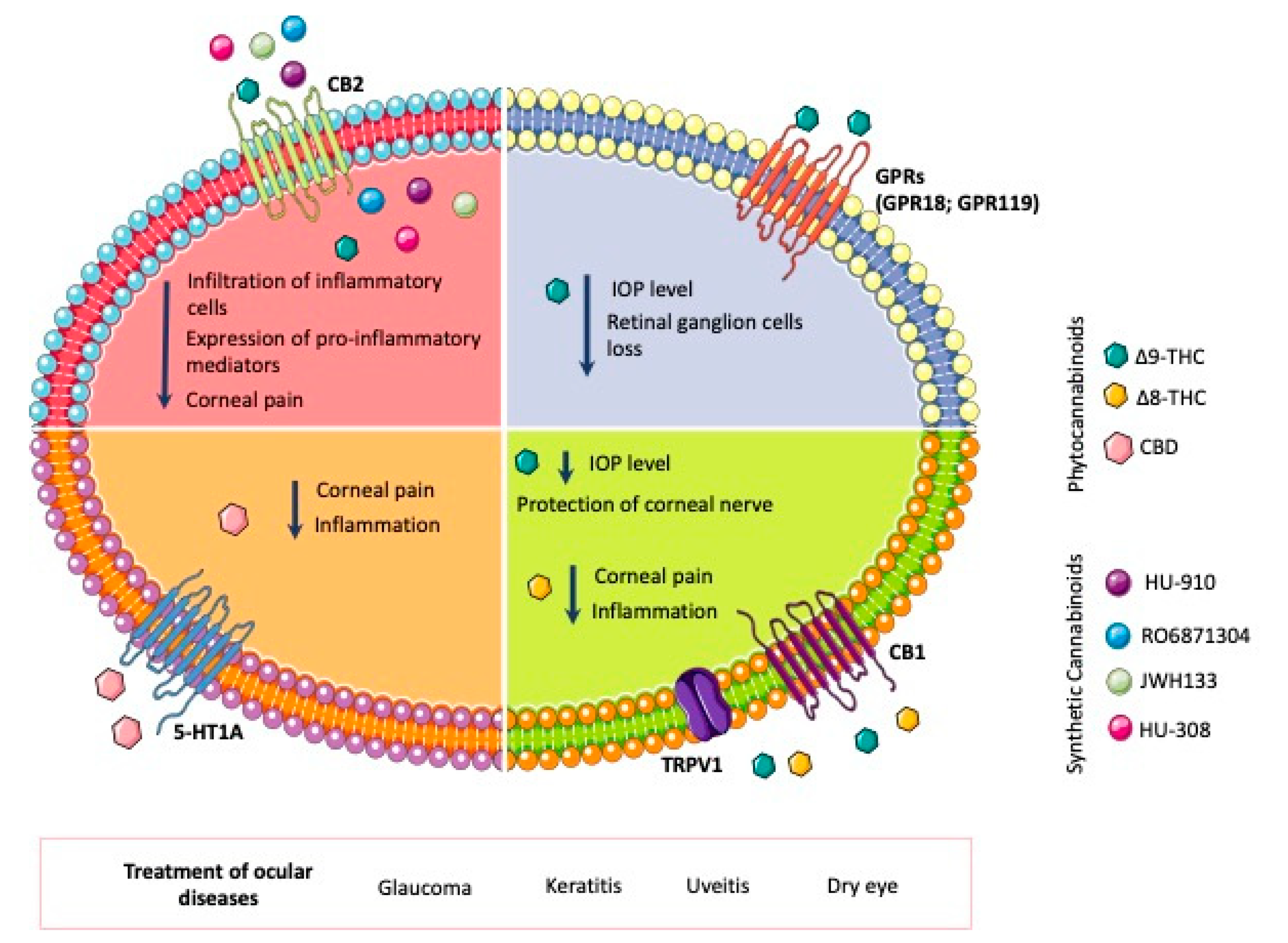 Pharmaceutics 15 01077 g001