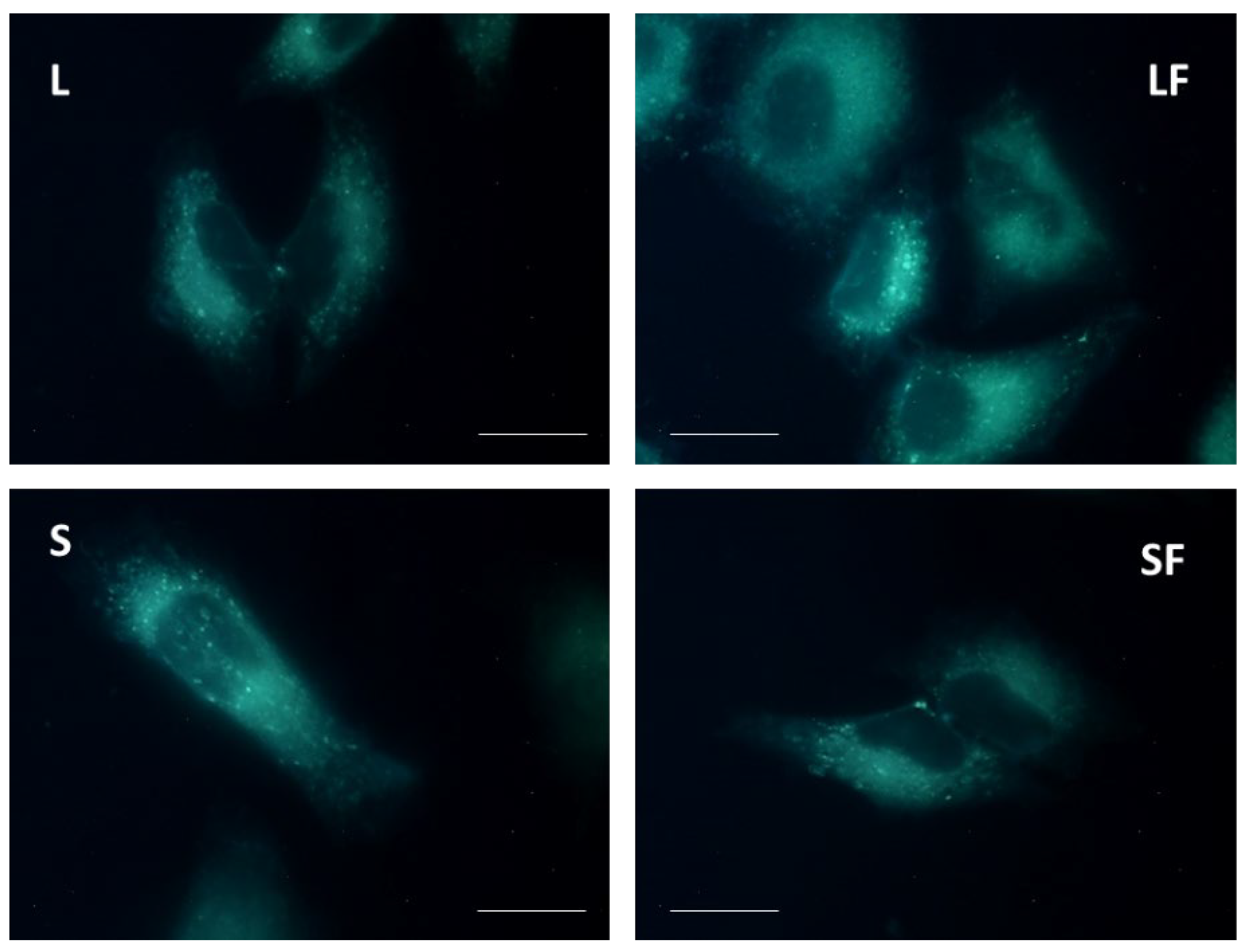 Pharmaceutics 15 01078 g007 Pharmaceutics 15 01078 g007
