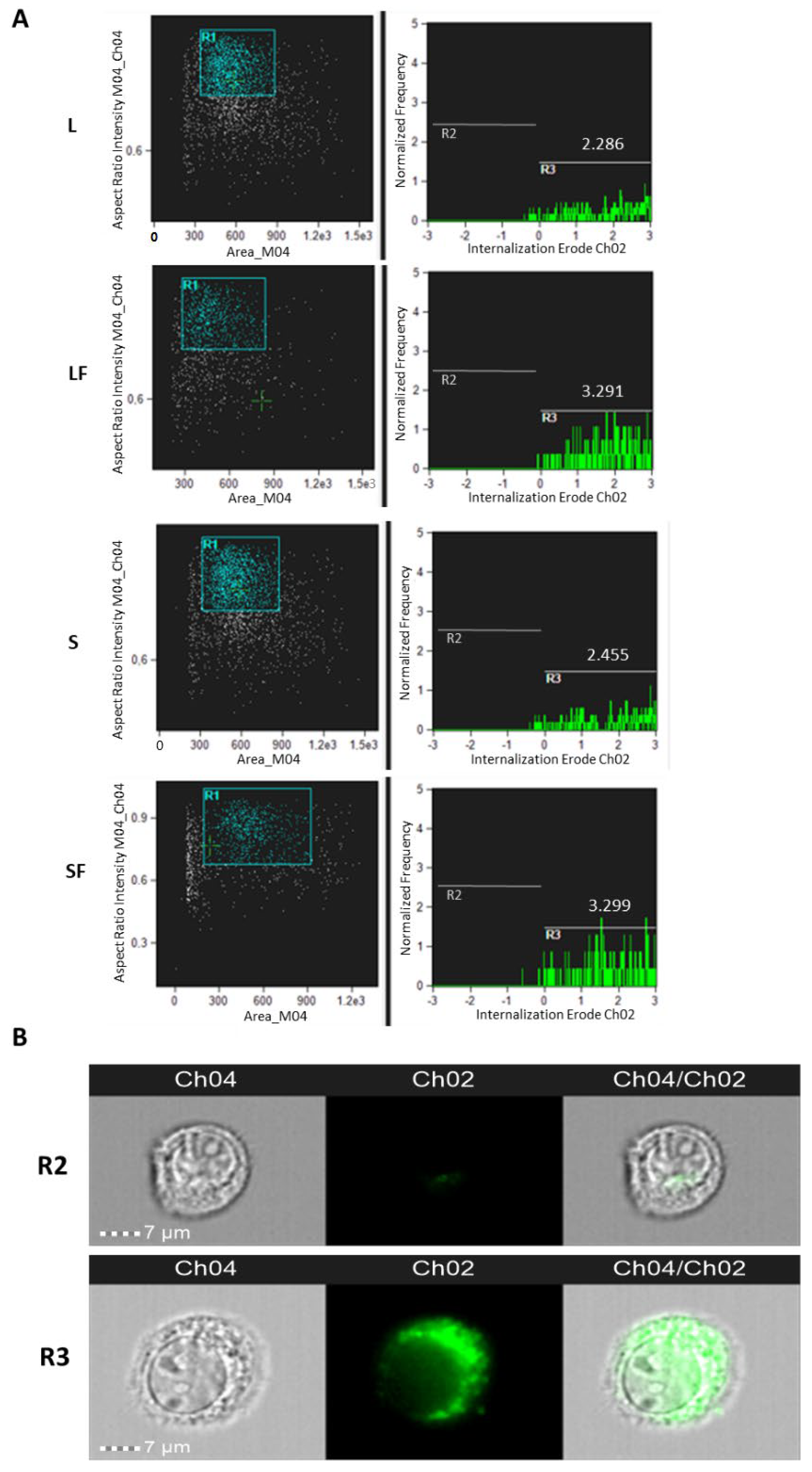 Pharmaceutics 15 01078 g008 Pharmaceutics 15 01078 g008