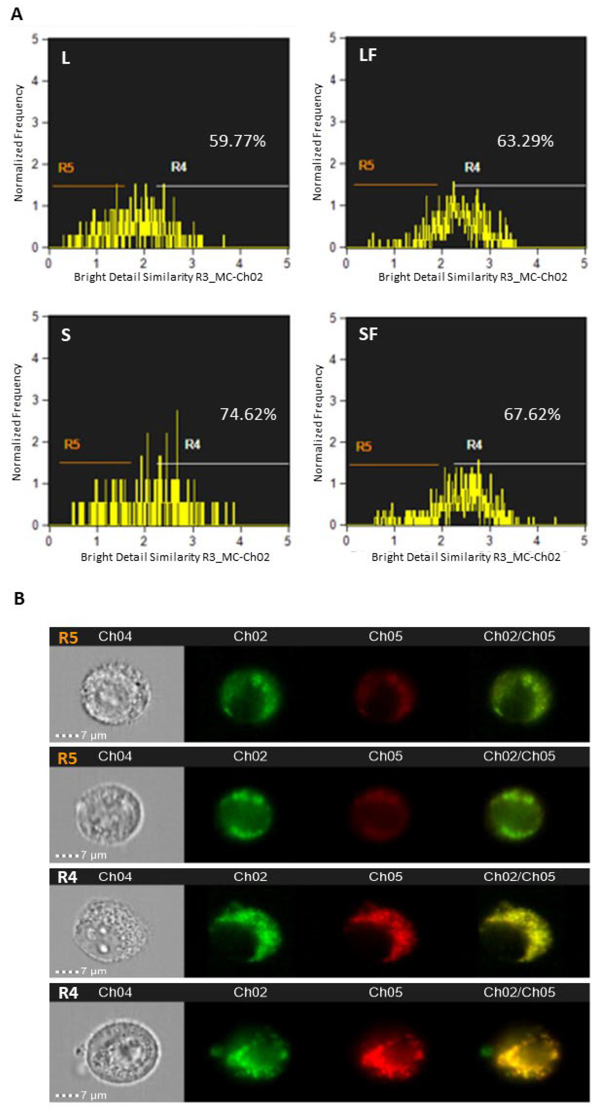 Pharmaceutics 15 01078 g009 Pharmaceutics 15 01078 g009