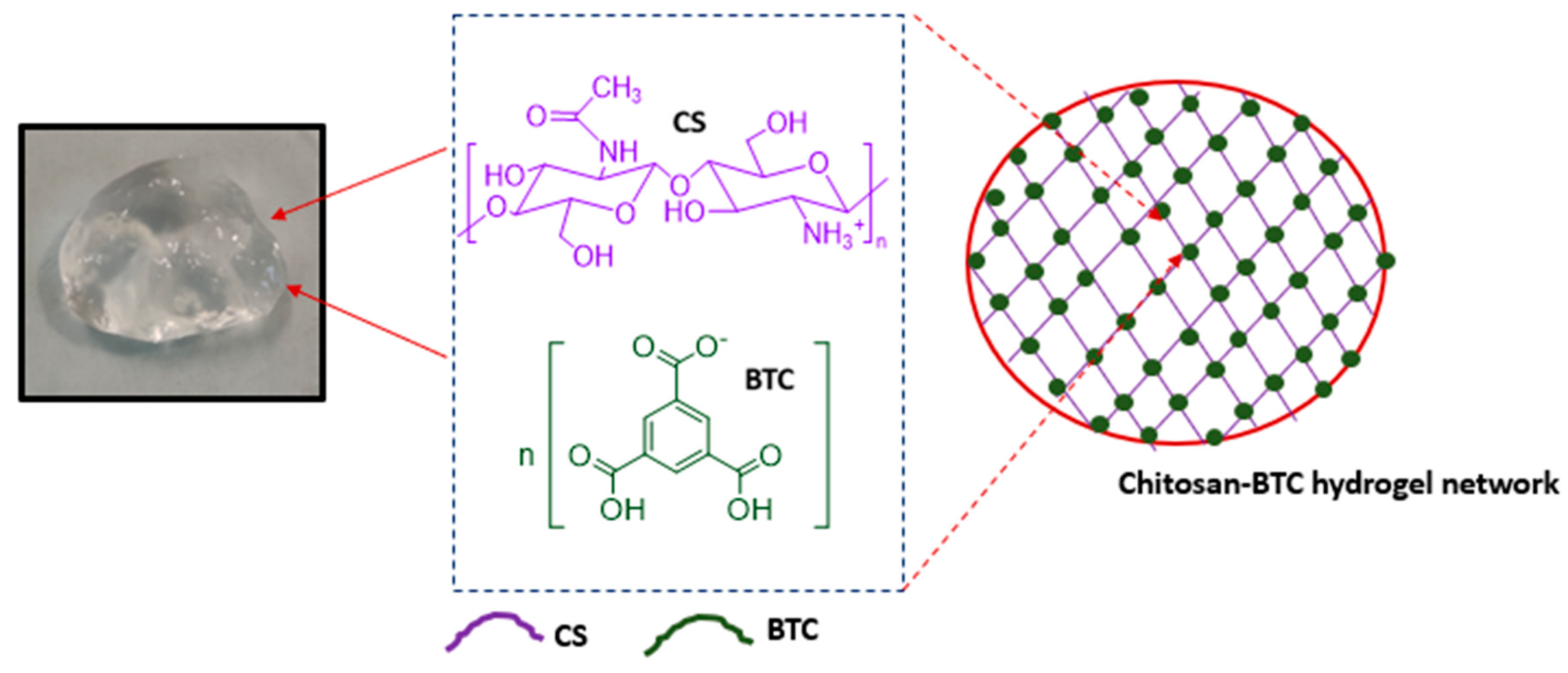 Pharmaceutics 15 01084 g003