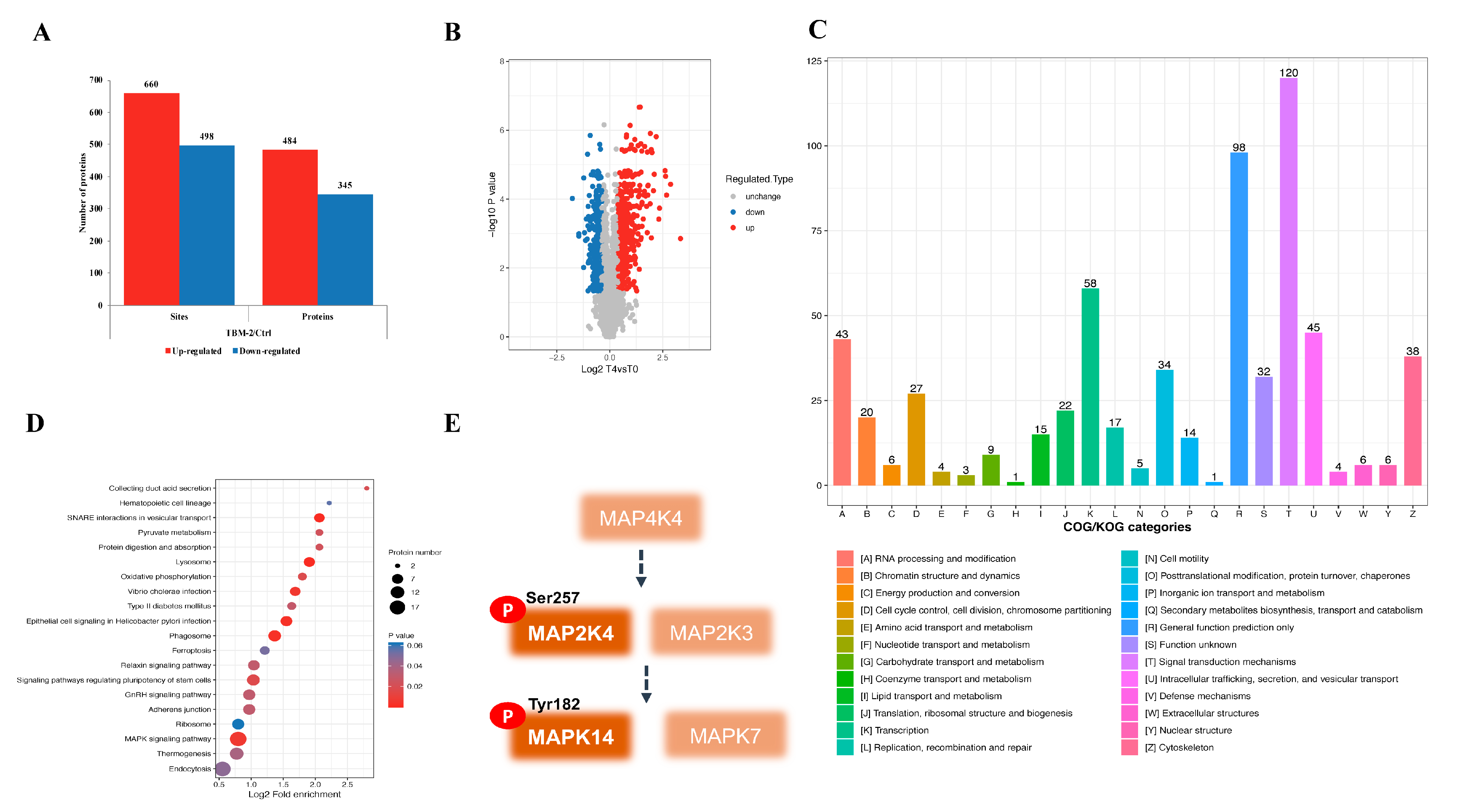 Pharmaceutics 15 01093 g003