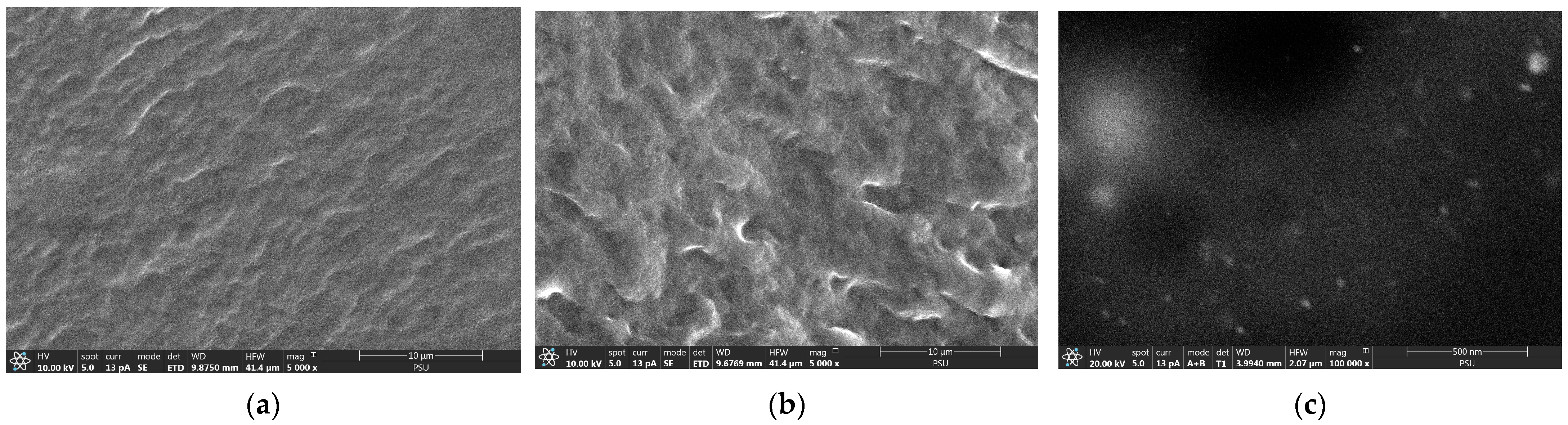 Pharmaceutics 15 01098 g013