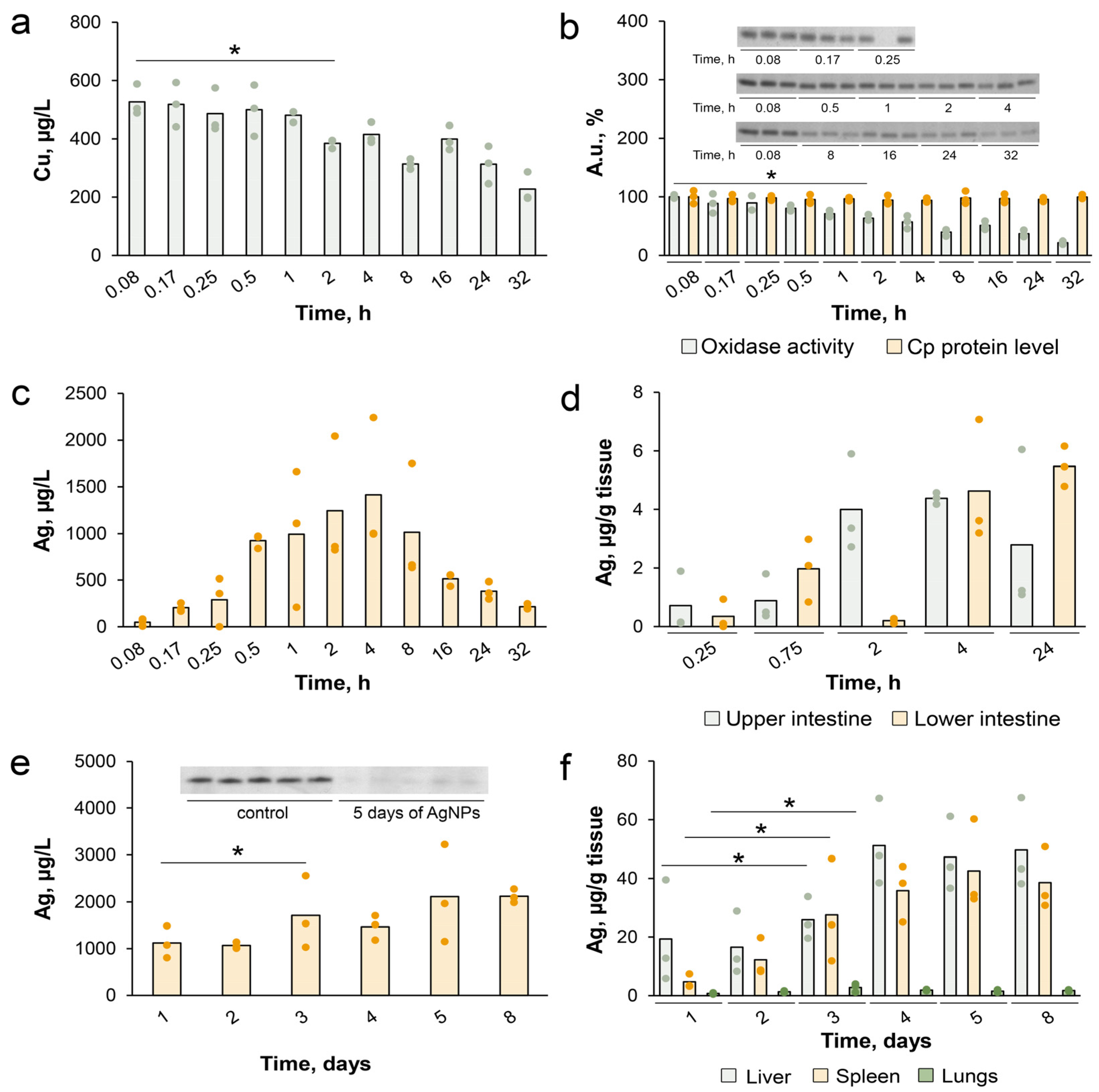 Pharmaceutics 15 01099 g003 Pharmaceutics 15 01099 g003