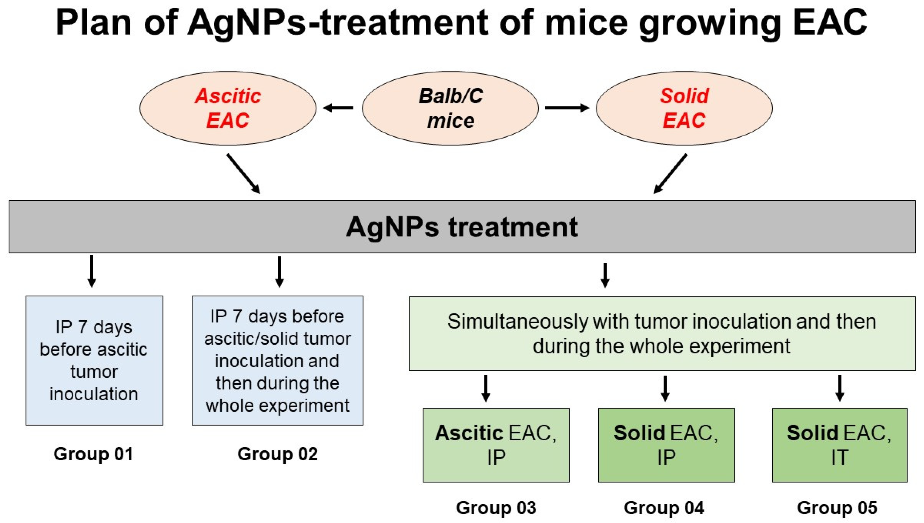 Pharmaceutics 15 01099 g004 Pharmaceutics 15 01099 g004