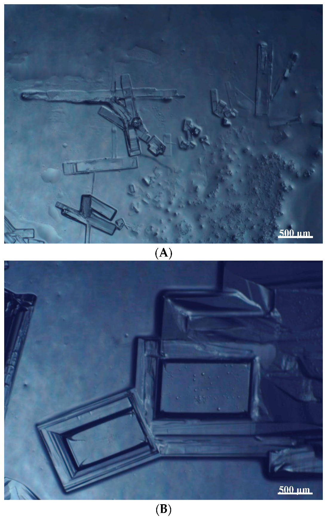 Pharmaceutics 15 01102 g001 Pharmaceutics 15 01102 g001