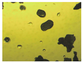 Pharmaceutics 15 01102 i014 Pharmaceutics 15 01102 i014