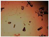 Pharmaceutics 15 01102 i037 Pharmaceutics 15 01102 i037