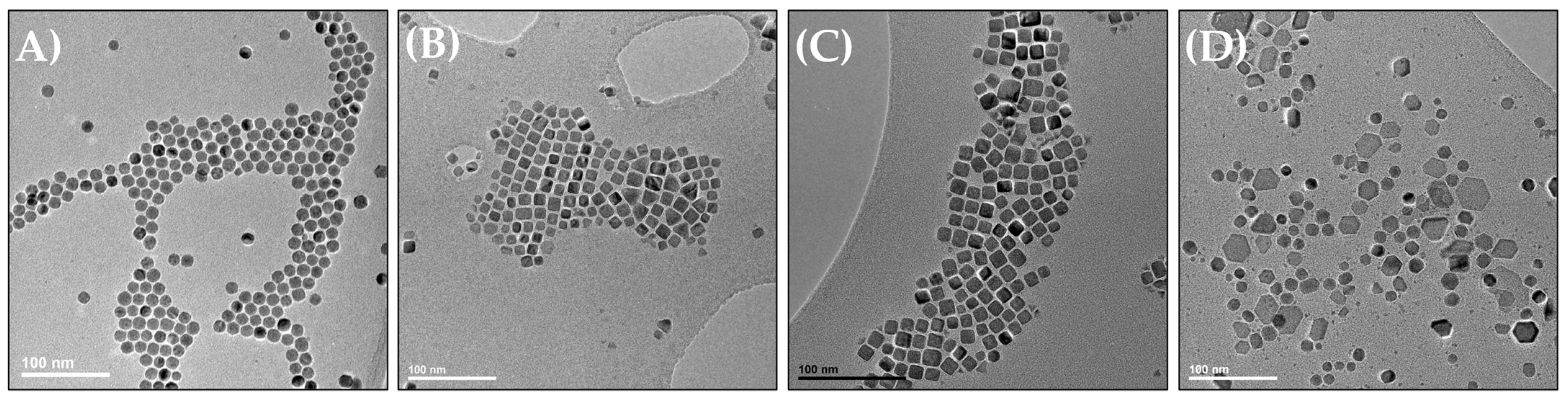 Pharmaceutics 15 01104 g001