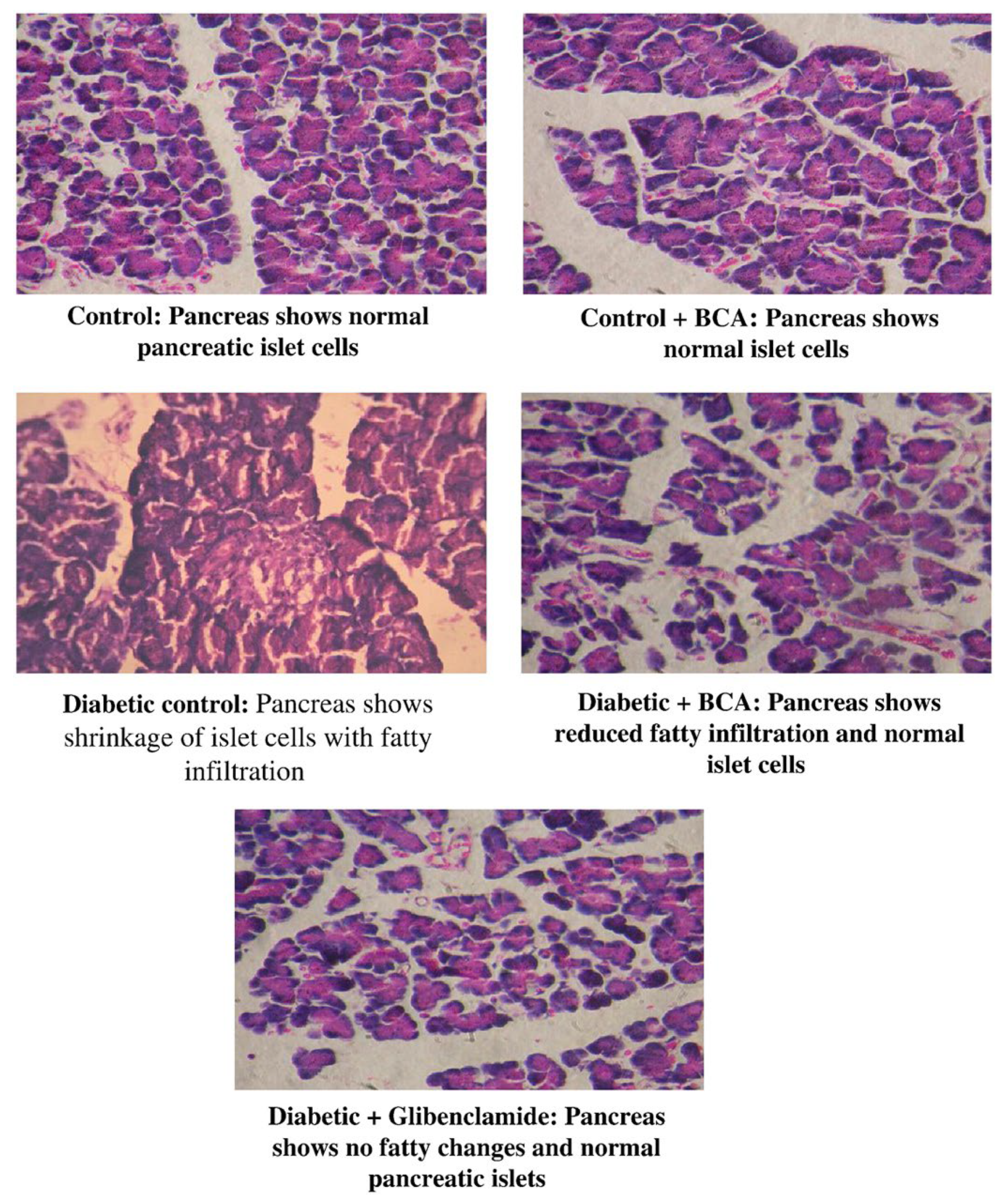 Pharmaceutics 15 01105 g003