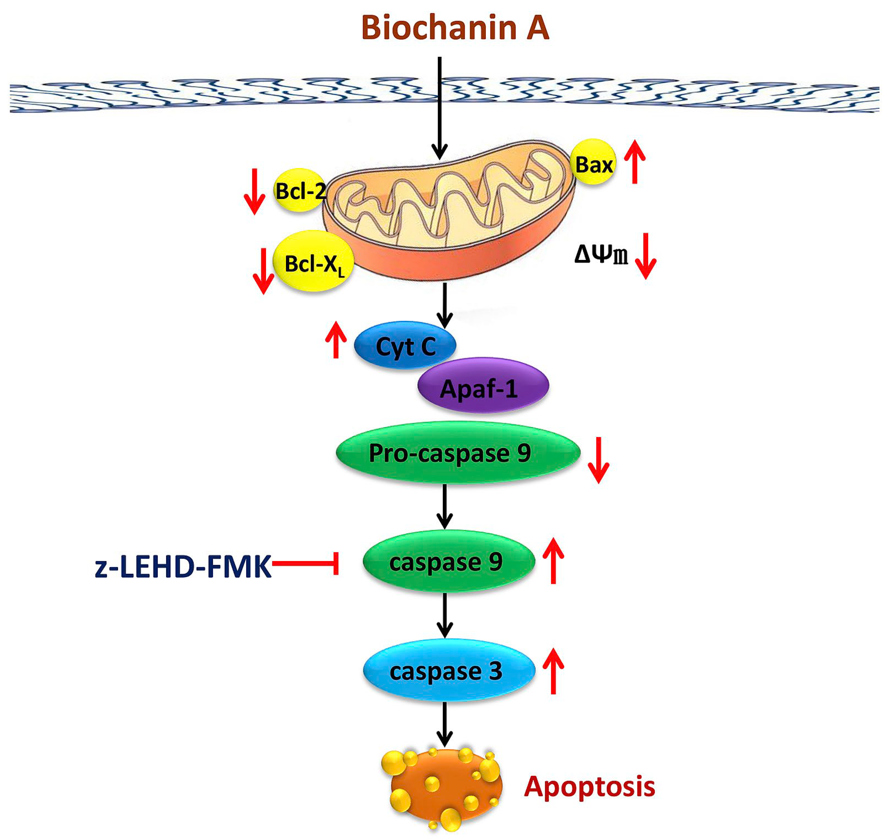 Pharmaceutics 15 01105 g004
