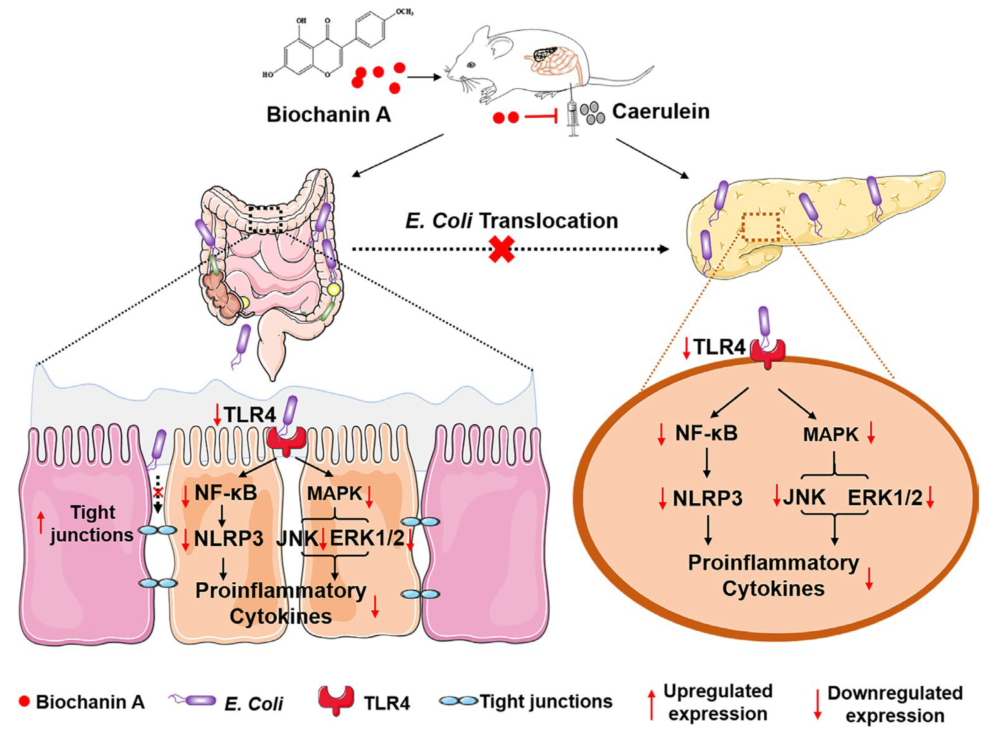 Pharmaceutics 15 01105 g005