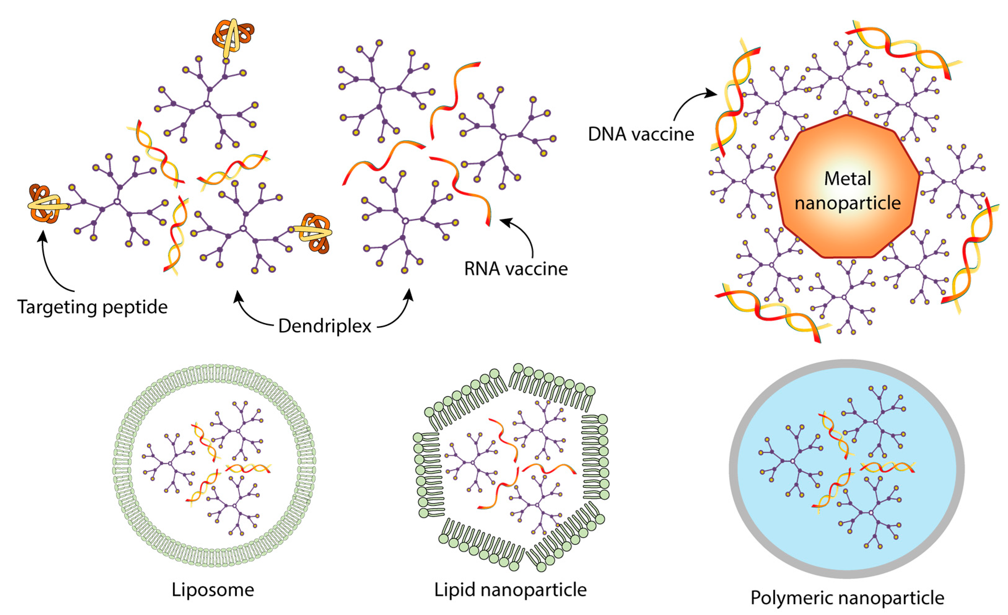 Pharmaceutics 15 01106 g011