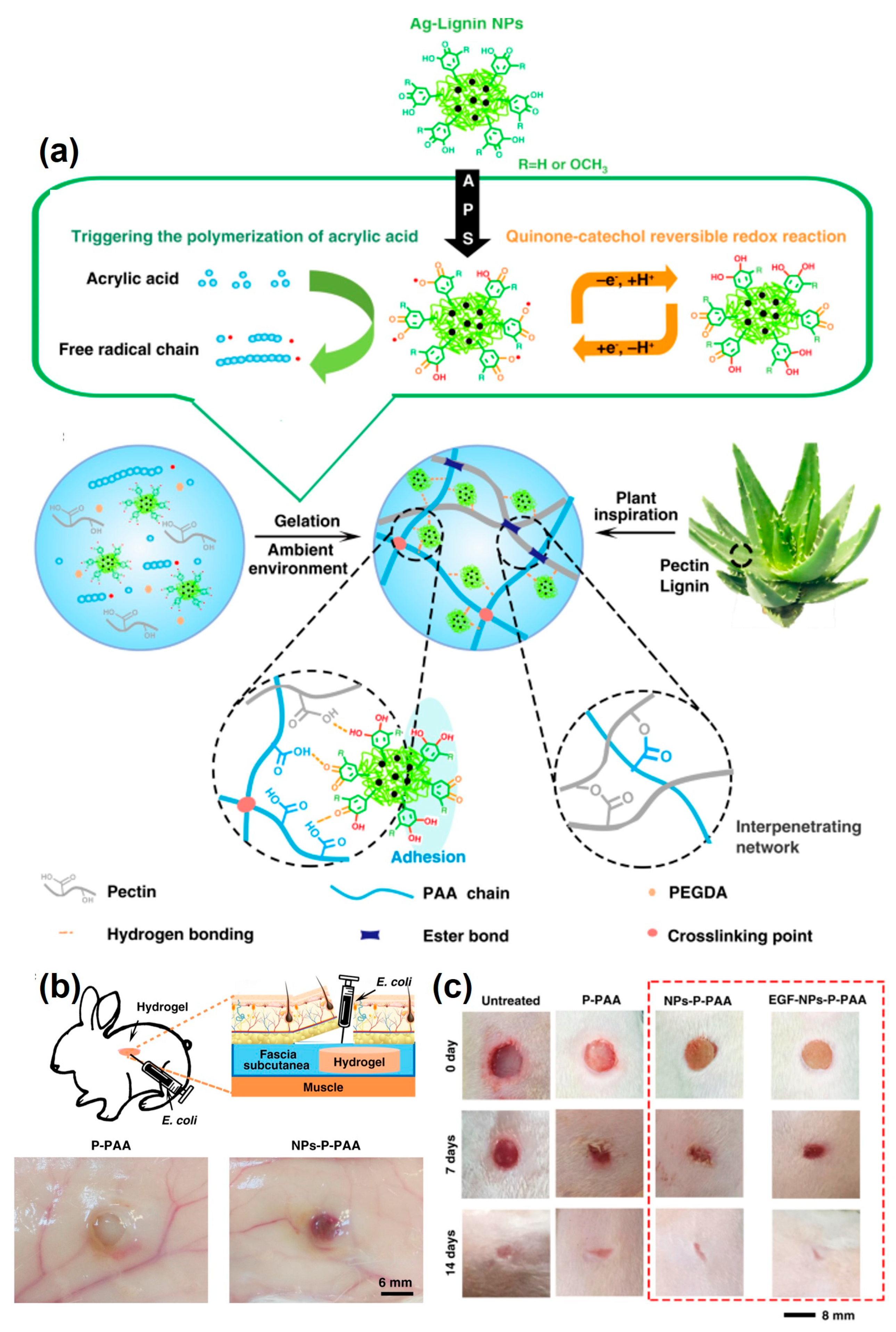 Pharmaceutics 15 01114 g002