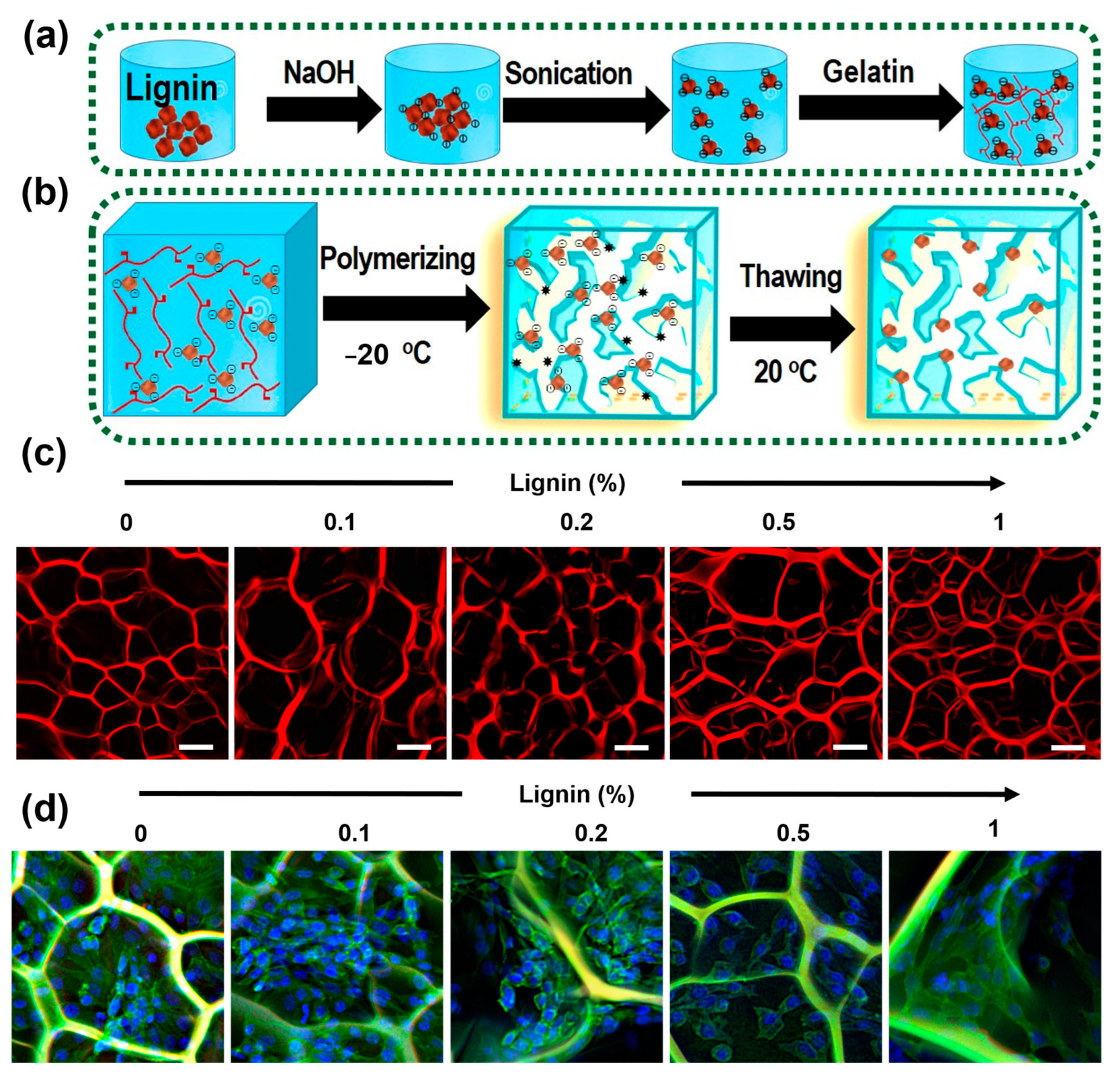 Pharmaceutics 15 01114 g003