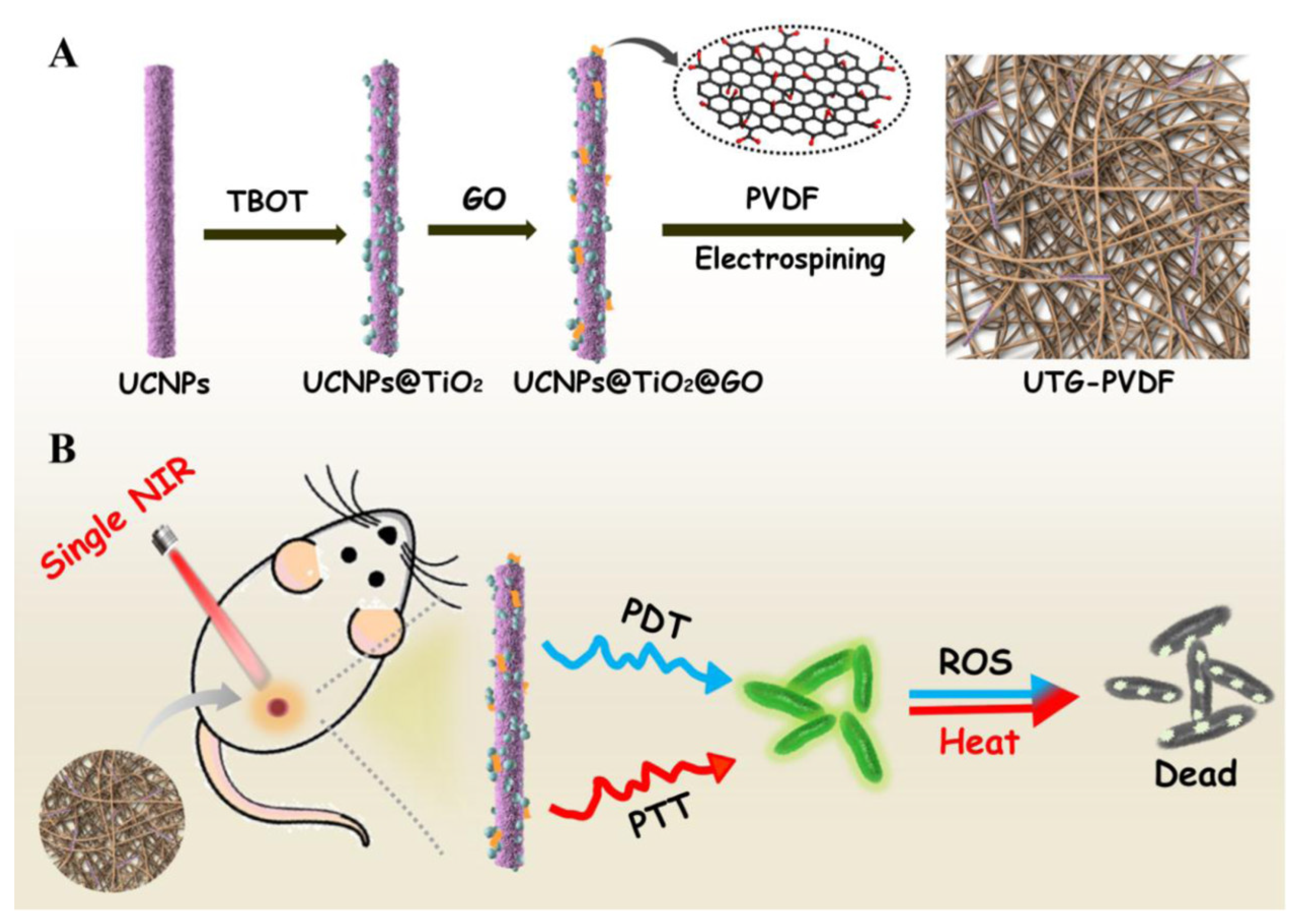 Pharmaceutics 15 01116 g002 Pharmaceutics 15 01116 g002