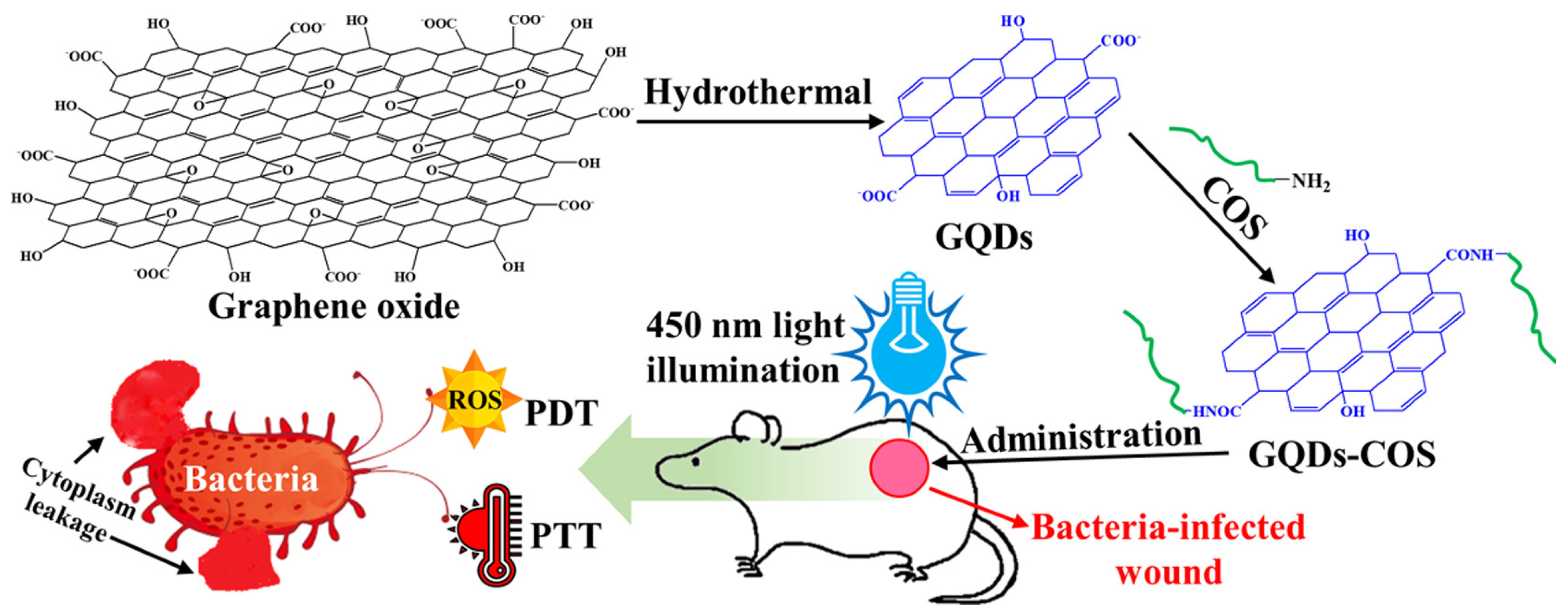 Pharmaceutics 15 01116 g003 Pharmaceutics 15 01116 g003