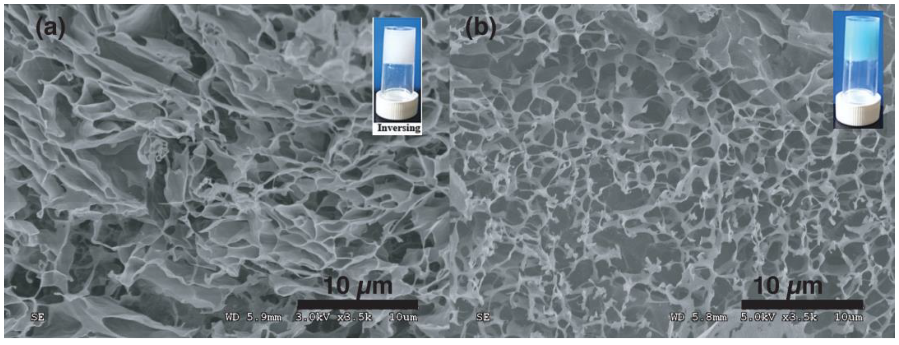 Pharmaceutics 15 01119 g005 Pharmaceutics 15 01119 g005