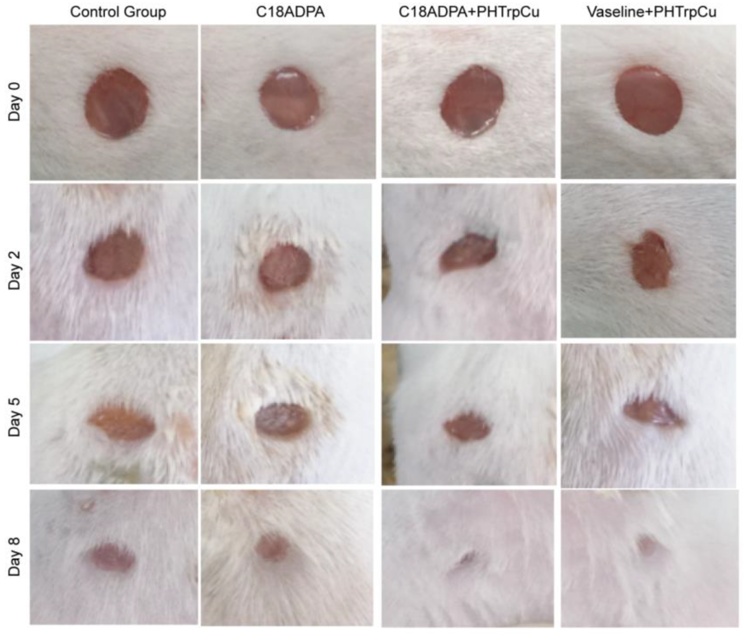 Pharmaceutics 15 01119 g008 Pharmaceutics 15 01119 g008