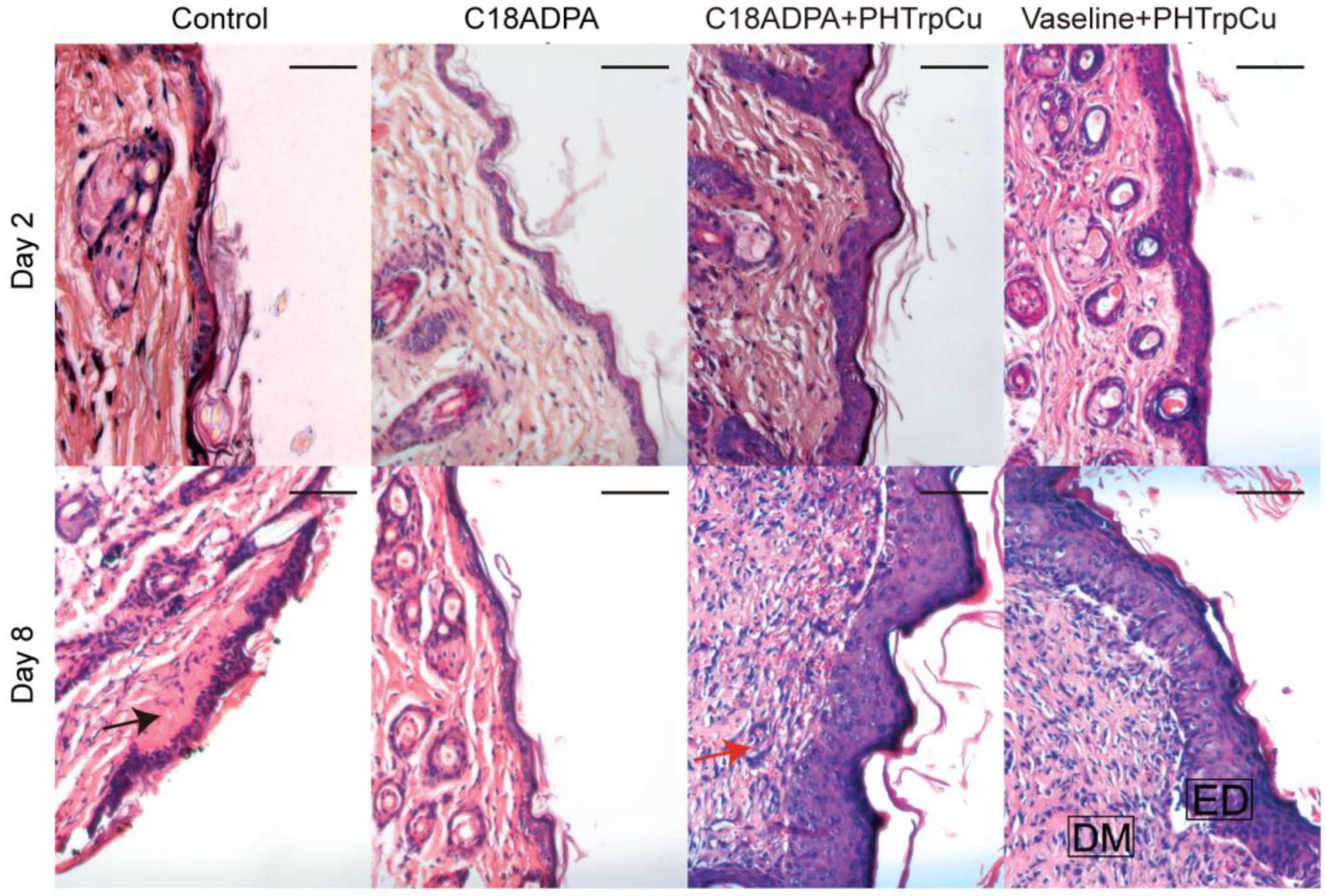 Pharmaceutics 15 01119 g010 Pharmaceutics 15 01119 g010