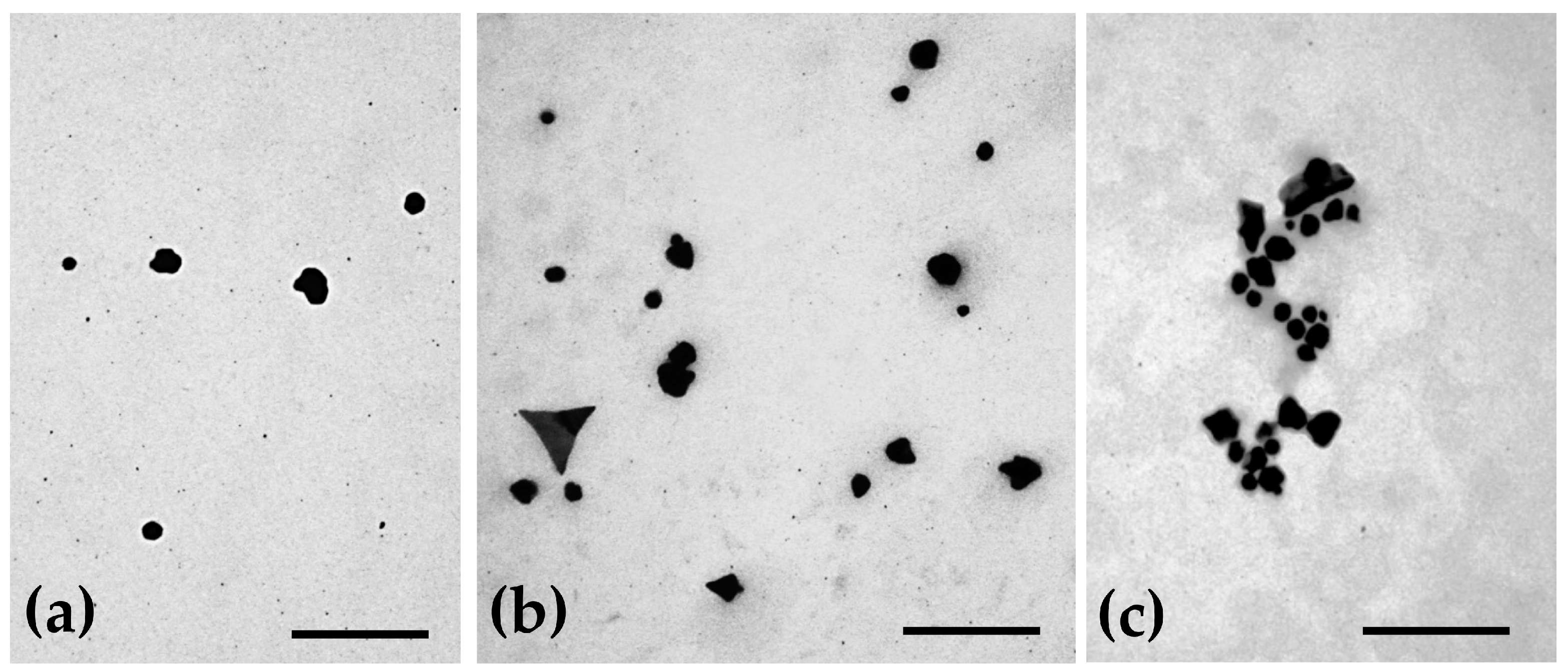 Pharmaceutics 15 01120 g002 Pharmaceutics 15 01120 g002