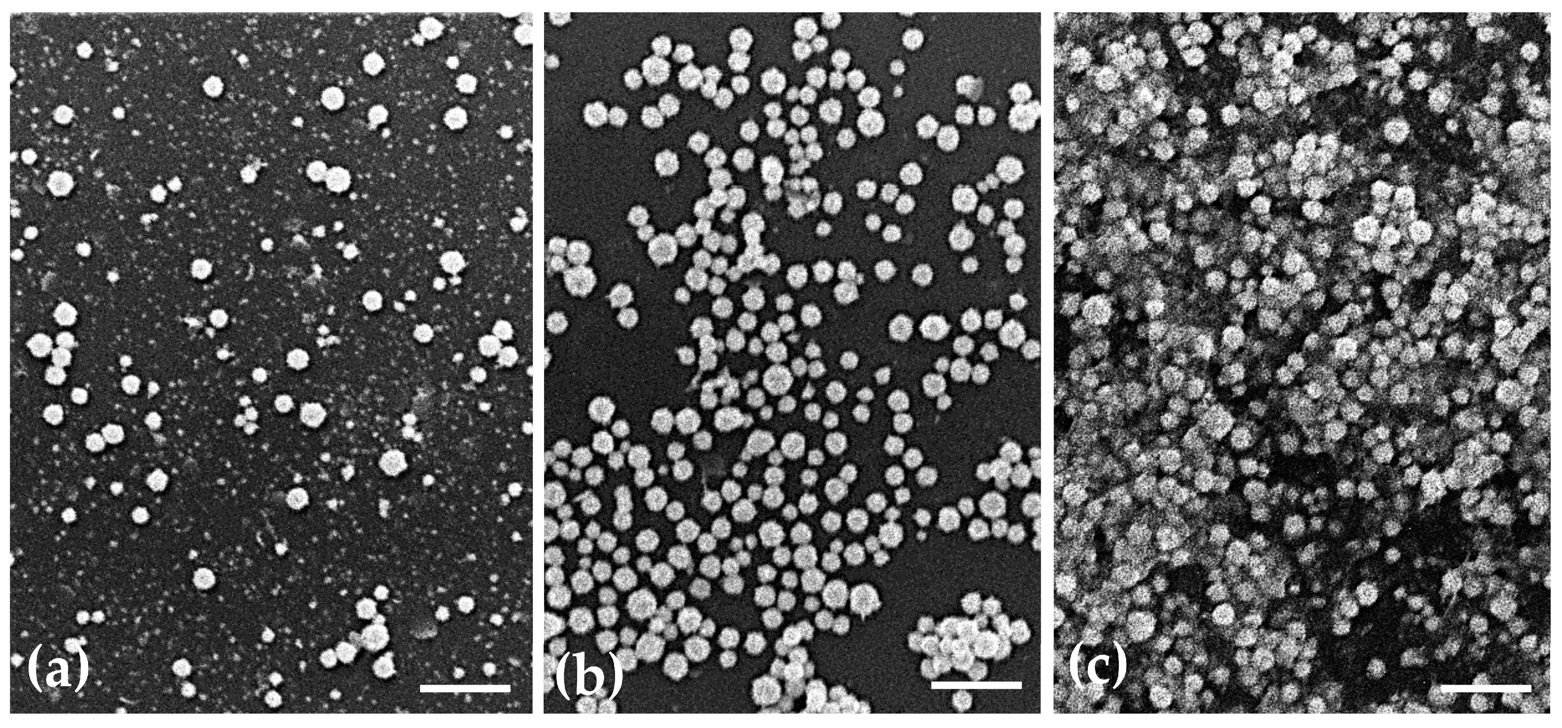 Pharmaceutics 15 01120 g003 Pharmaceutics 15 01120 g003