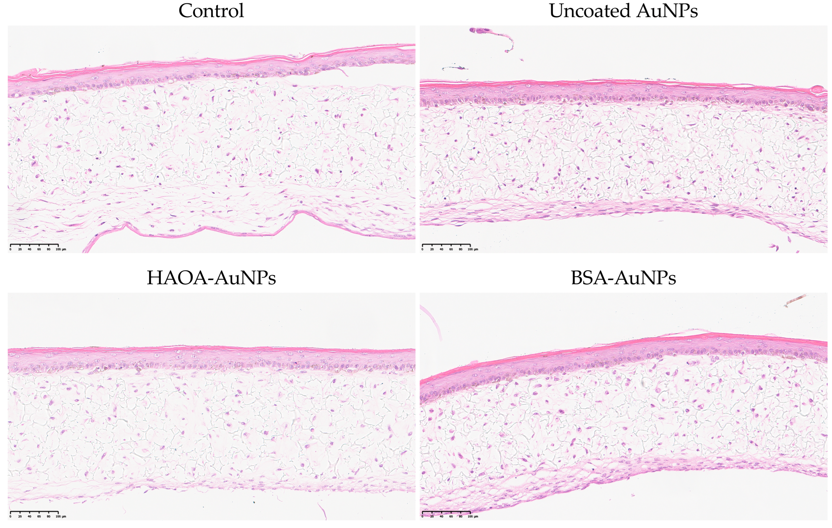 Pharmaceutics 15 01120 g005 Pharmaceutics 15 01120 g005