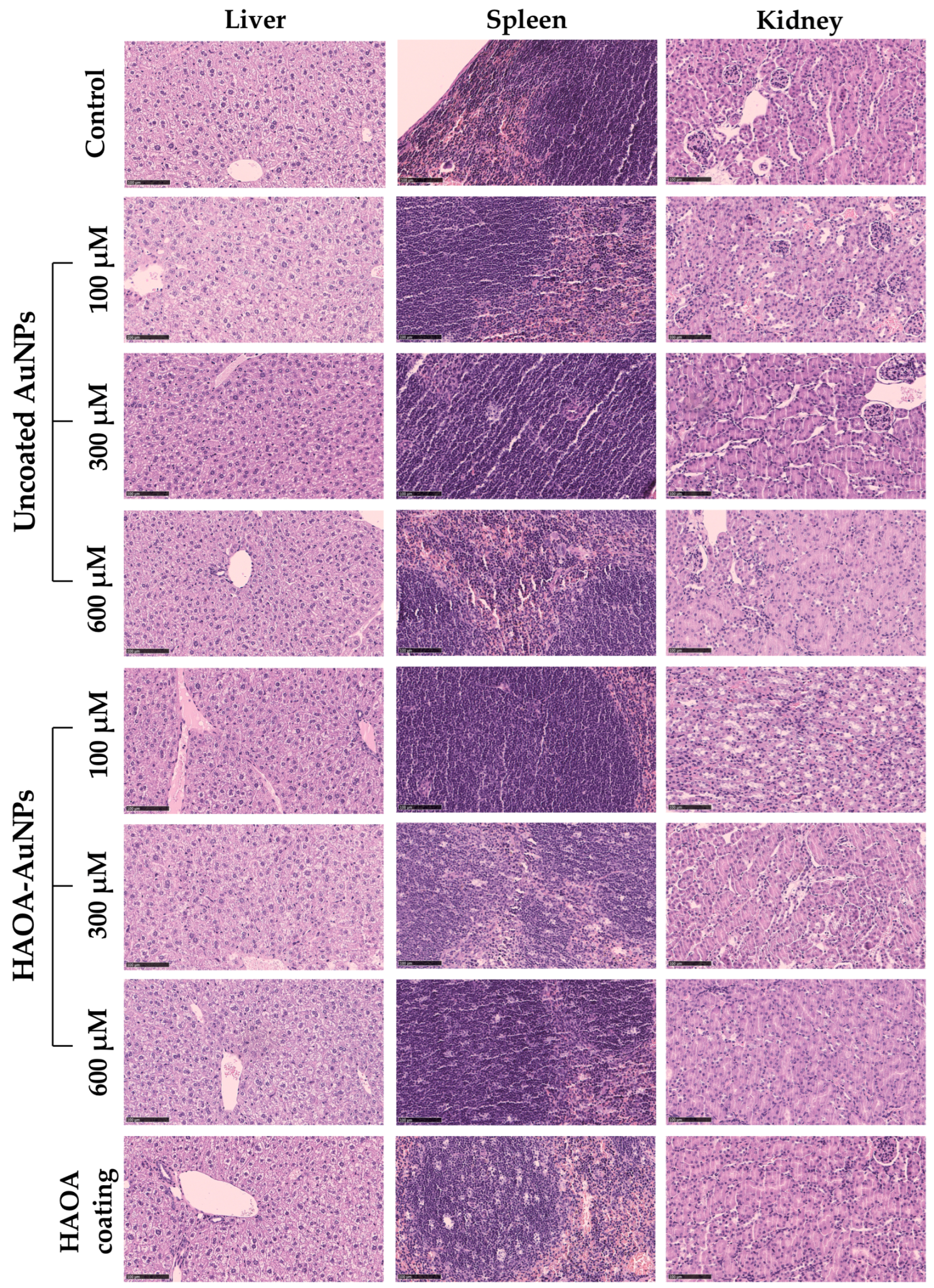 Pharmaceutics 15 01120 g008 Pharmaceutics 15 01120 g008