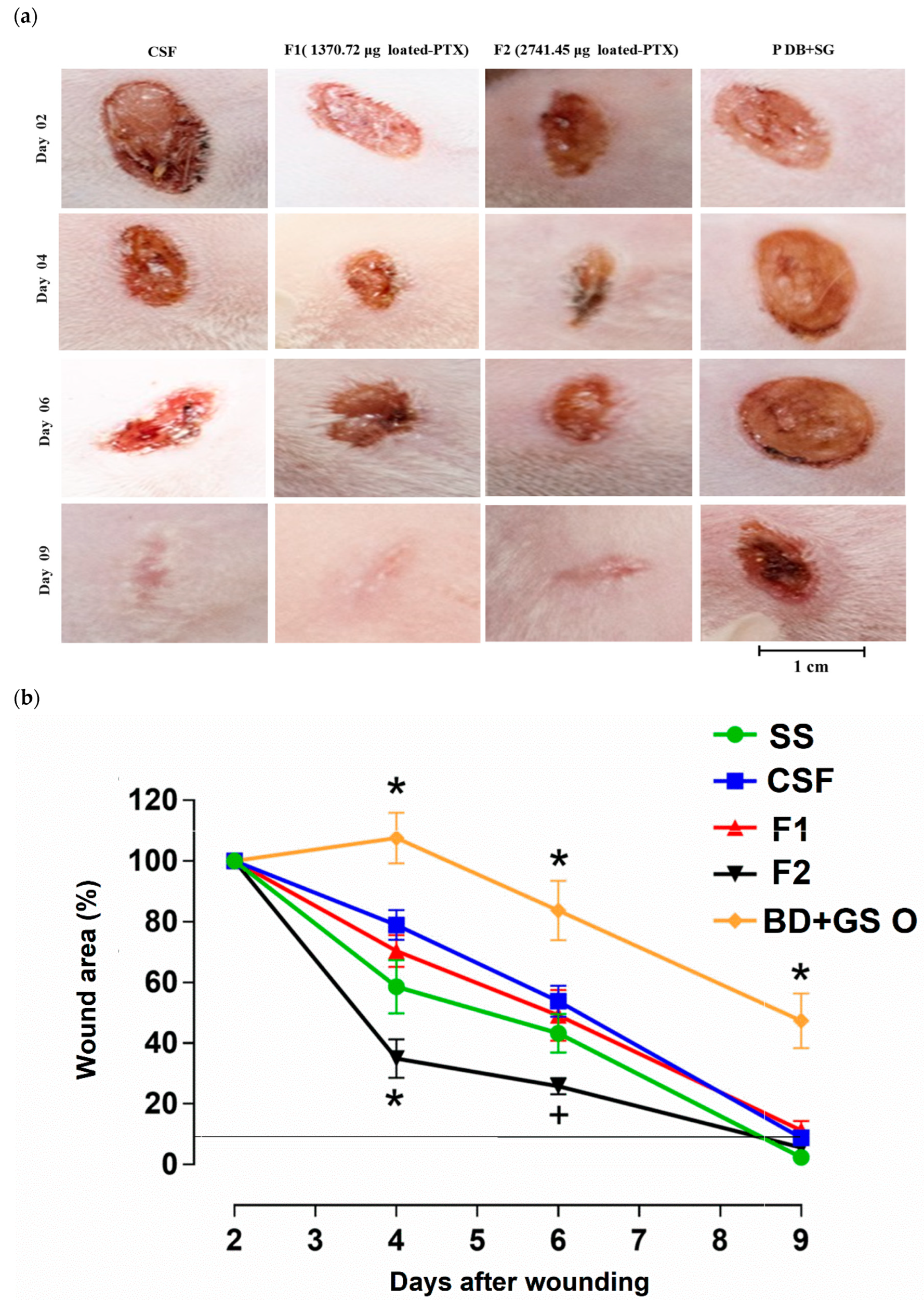 Pharmaceutics 15 01122 g006