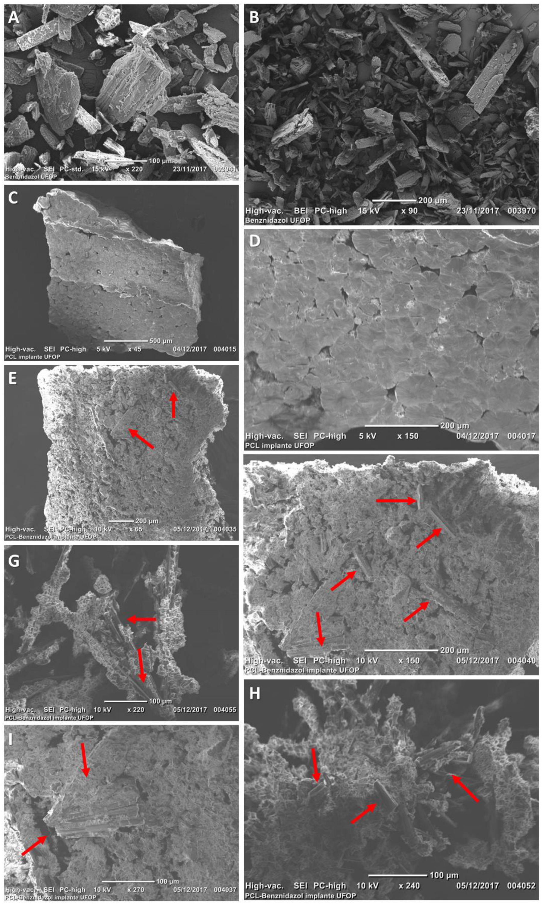 Pharmaceutics 15 01126 g003