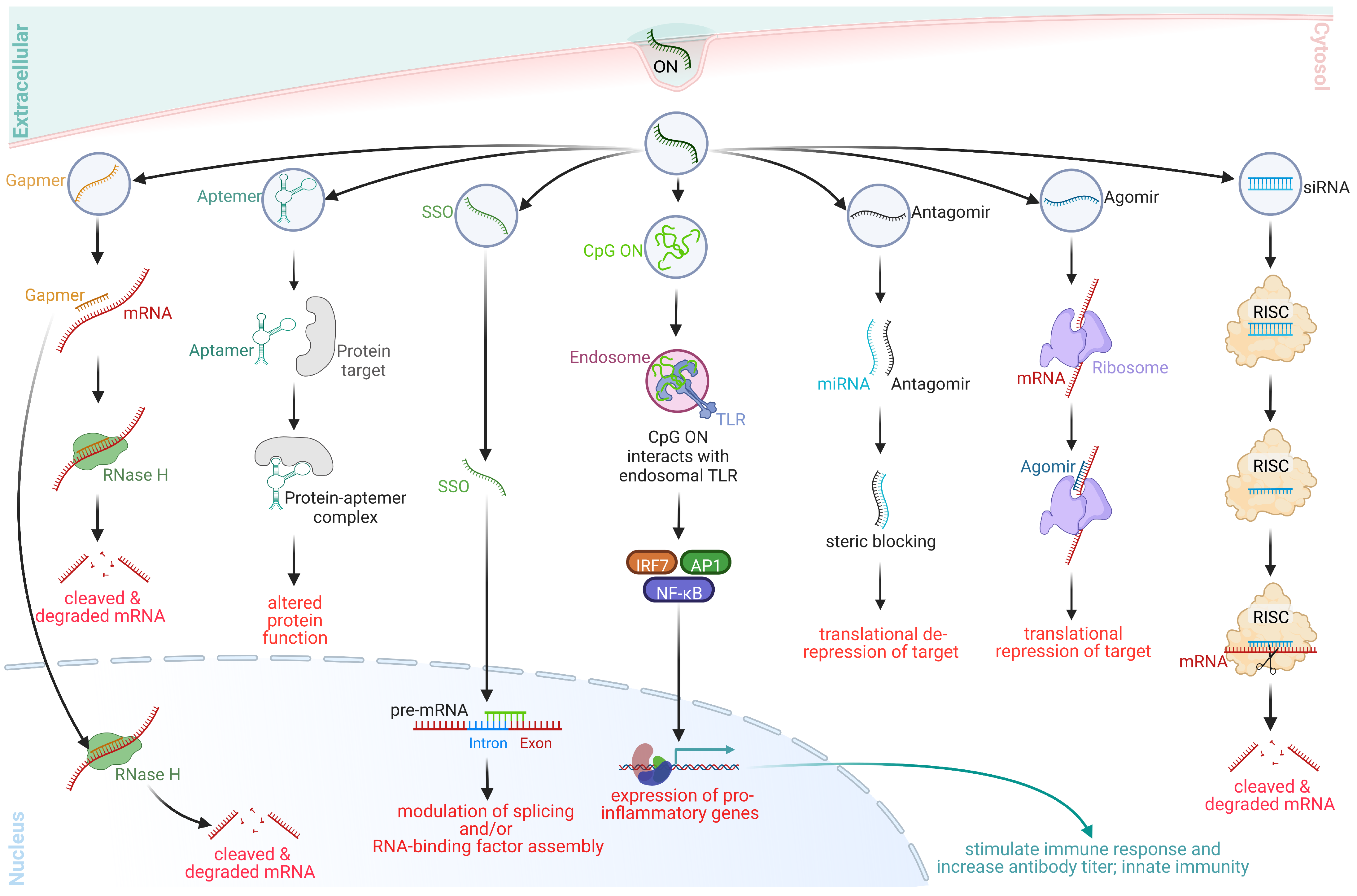 Pharmaceutics 15 01130 g001 Pharmaceutics 15 01130 g001