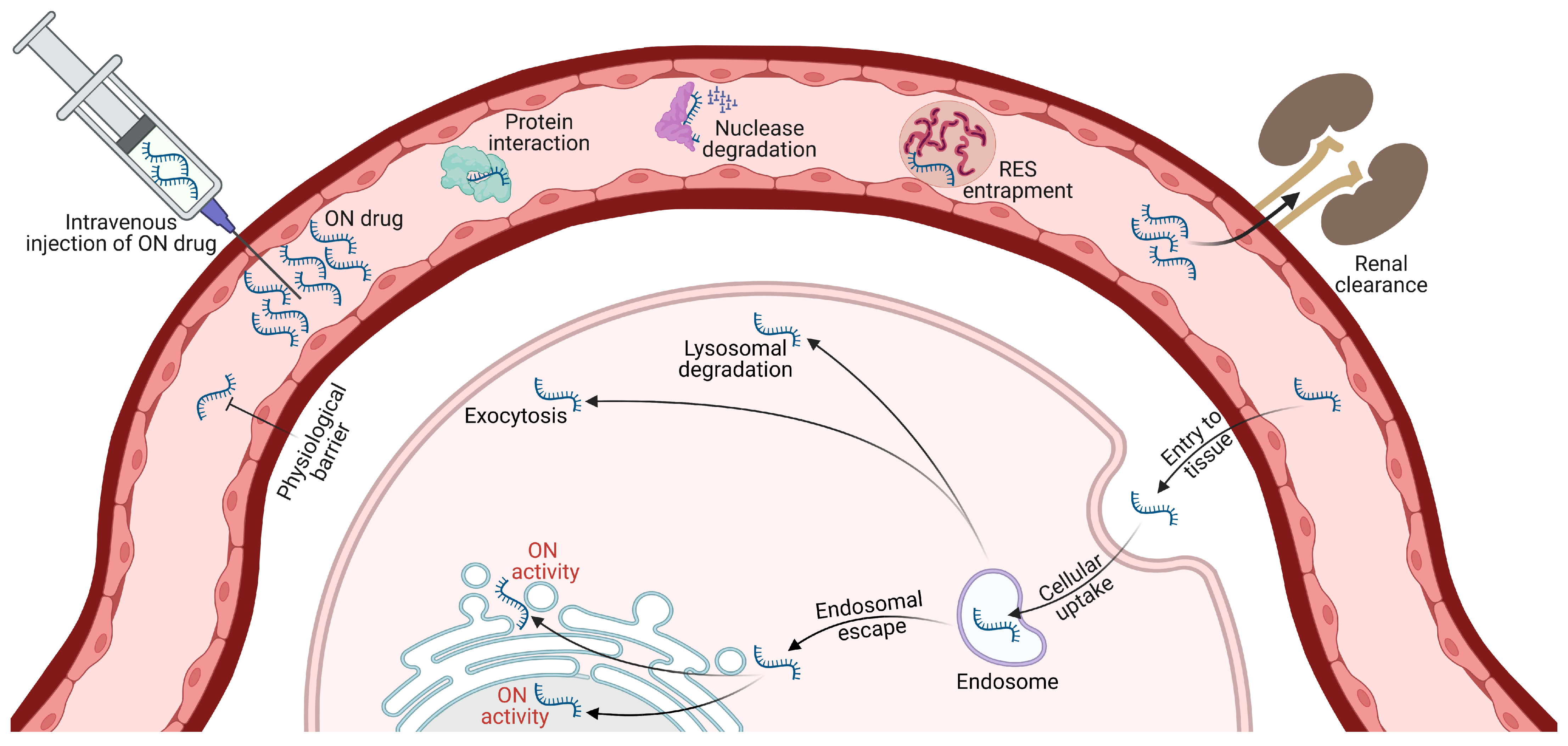 Pharmaceutics 15 01130 g003 Pharmaceutics 15 01130 g003