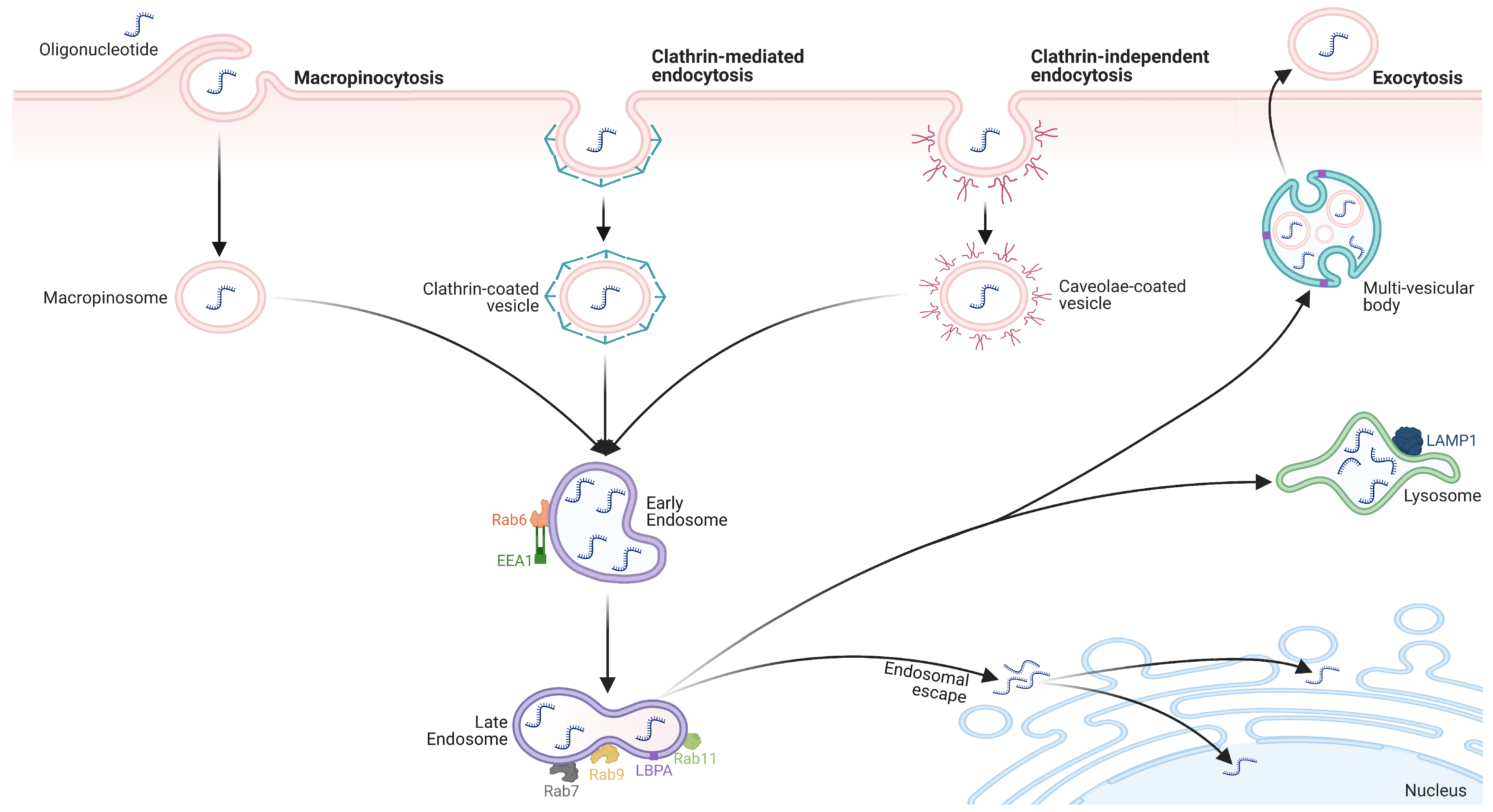 Pharmaceutics 15 01130 g004 Pharmaceutics 15 01130 g004