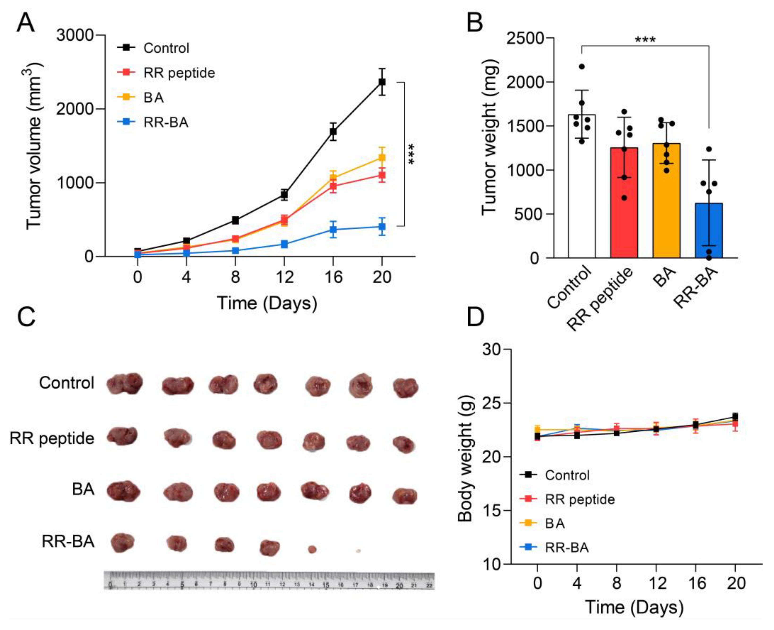 Pharmaceutics 15 01131 g007
